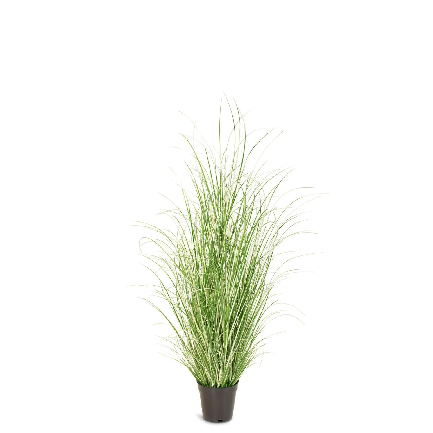 Fleur Ami Künstliches Chinaschilf Variegatus