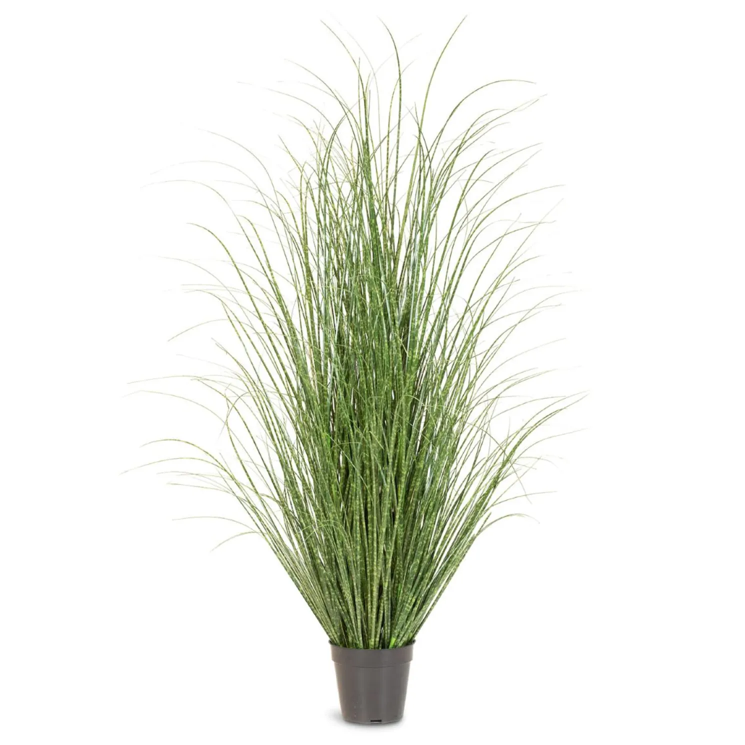 Fleur Ami Zebragras Miscanthus Sinensis Kunstpflanze, Höhe 120 cm