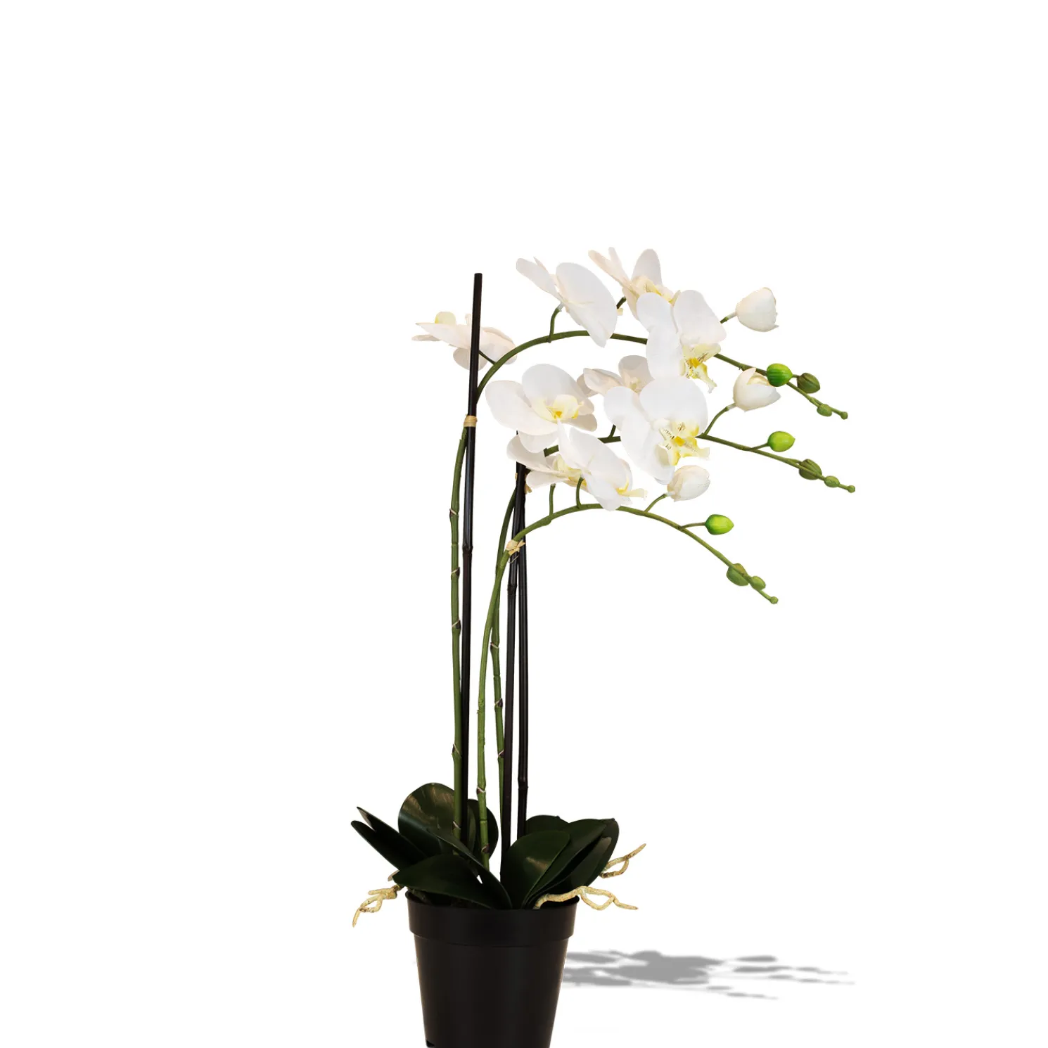Fleur Ami Künstliche Orchidee weiß 76 cm