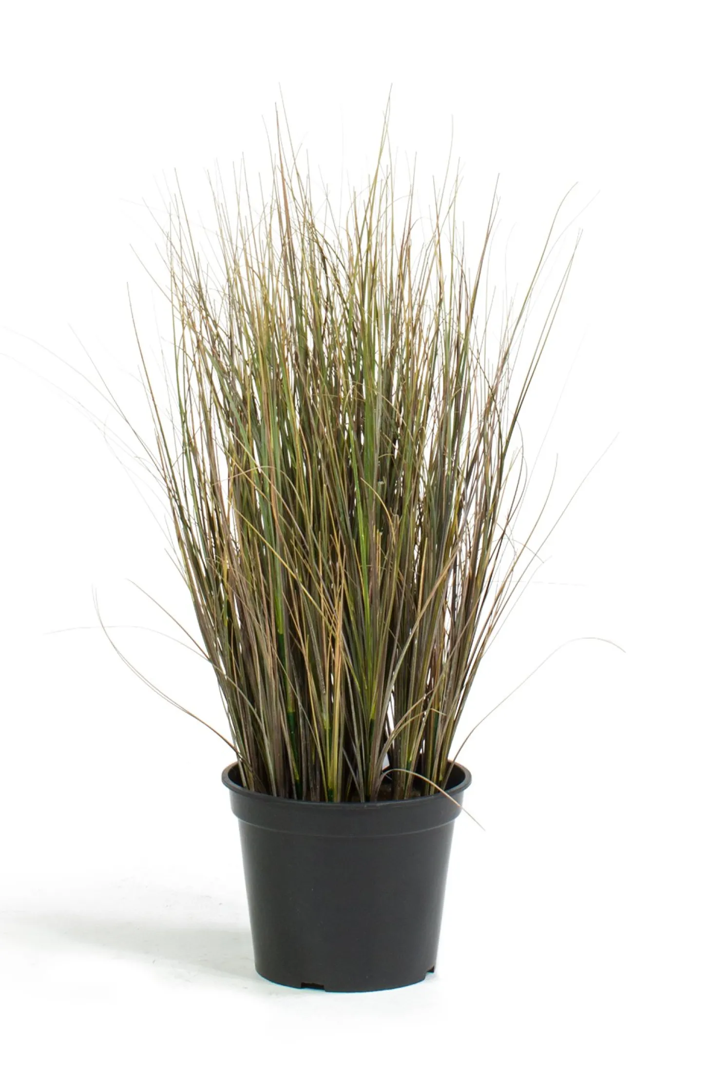 Fleur Ami Zwiebelgras Kunstpflanze 60 cm rot/grün