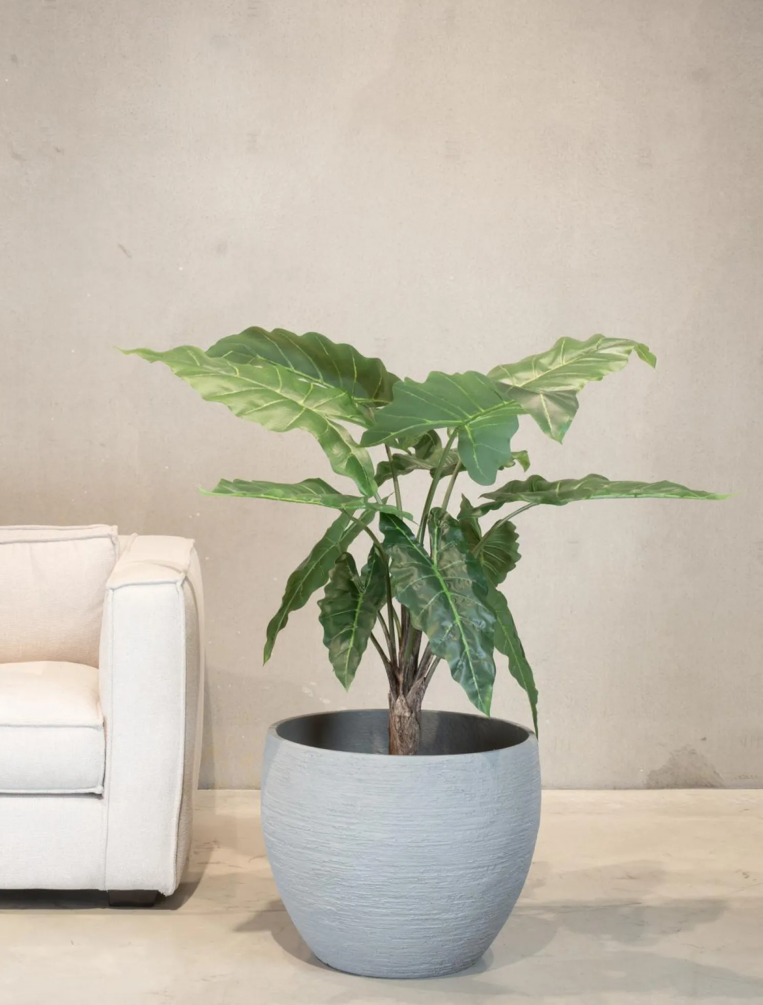 Fleur Ami Pfeilblatt - Alocasia Pflanze aus Kunststoff