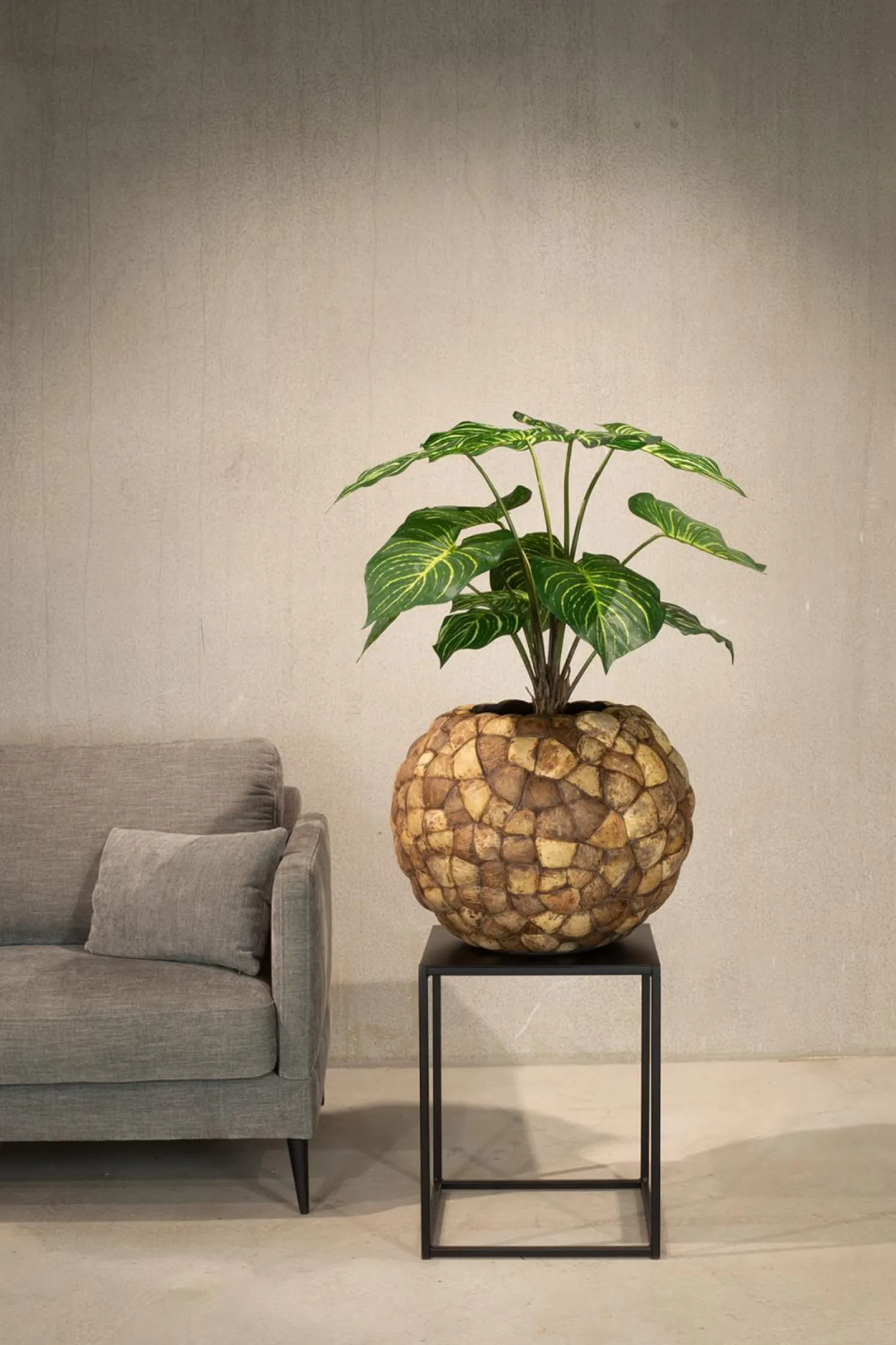 Fleur Ami Calathea Kunstpflanze, UV Stabil, Höhe 70 cm