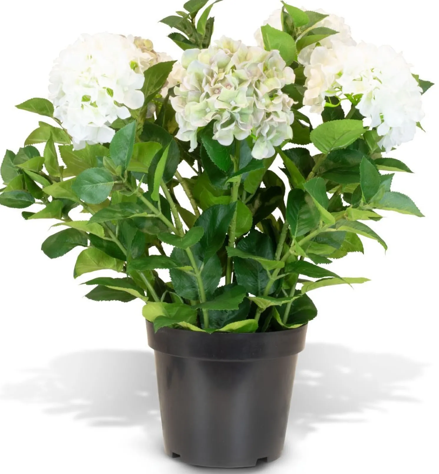 Fleur Ami Hortensie - Hydrangea Kunstpflanze, 7 Blüten, Höhe 73 cm, weiß-grün