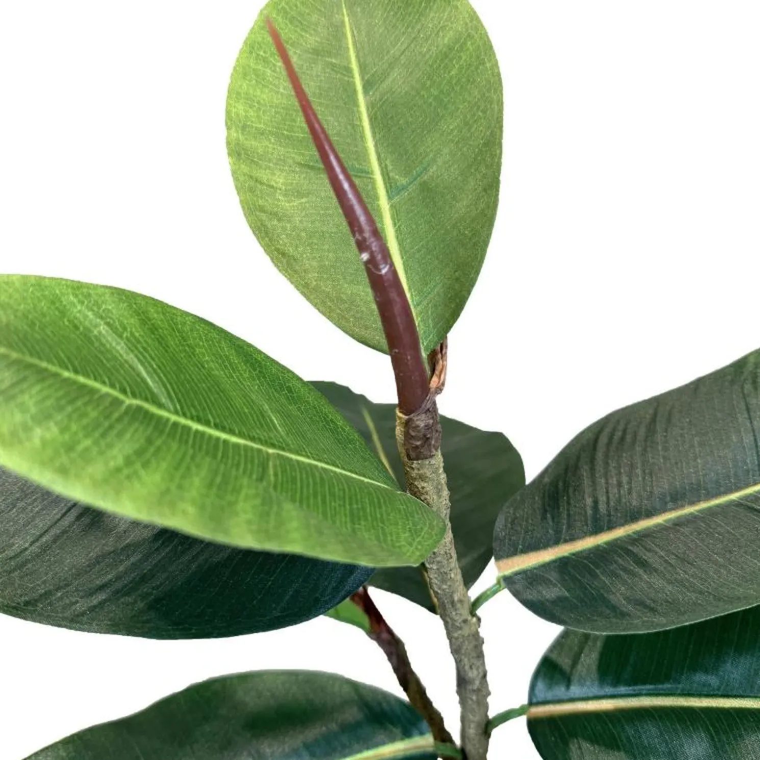 Fleur Ami Ficus Elastica - Gummibaum Kunstpflanze 90 cm