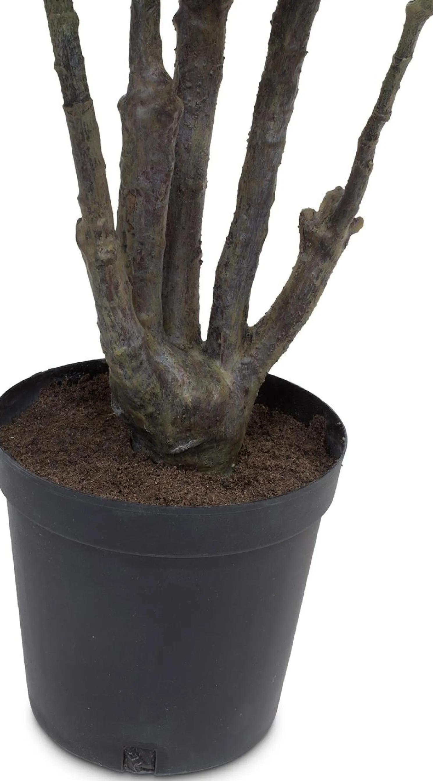 Fleur Ami Fiederaralie Polyscias Kunstpflanze 116 cm