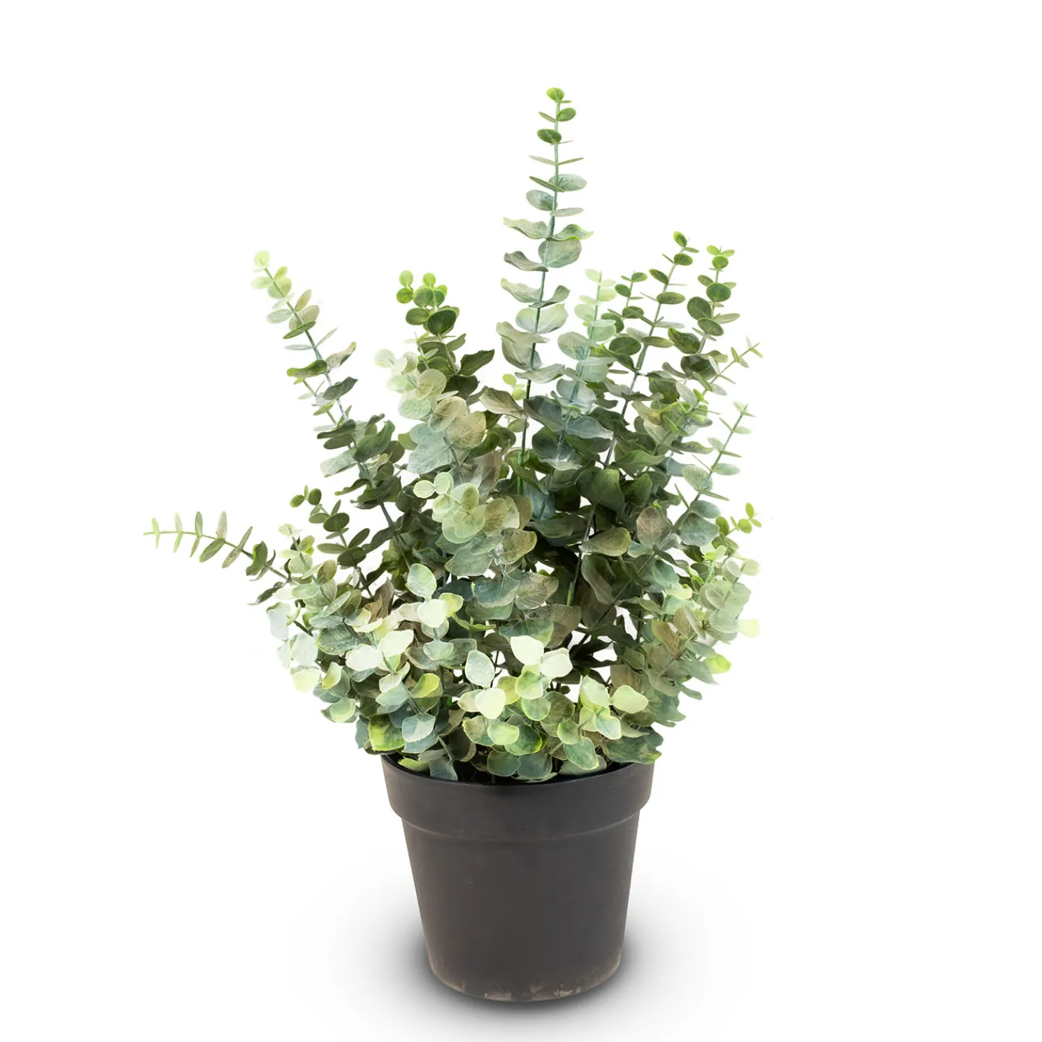 Fleur Ami Künstliche Eucalyptus Pflanze, Höhe 60 cm