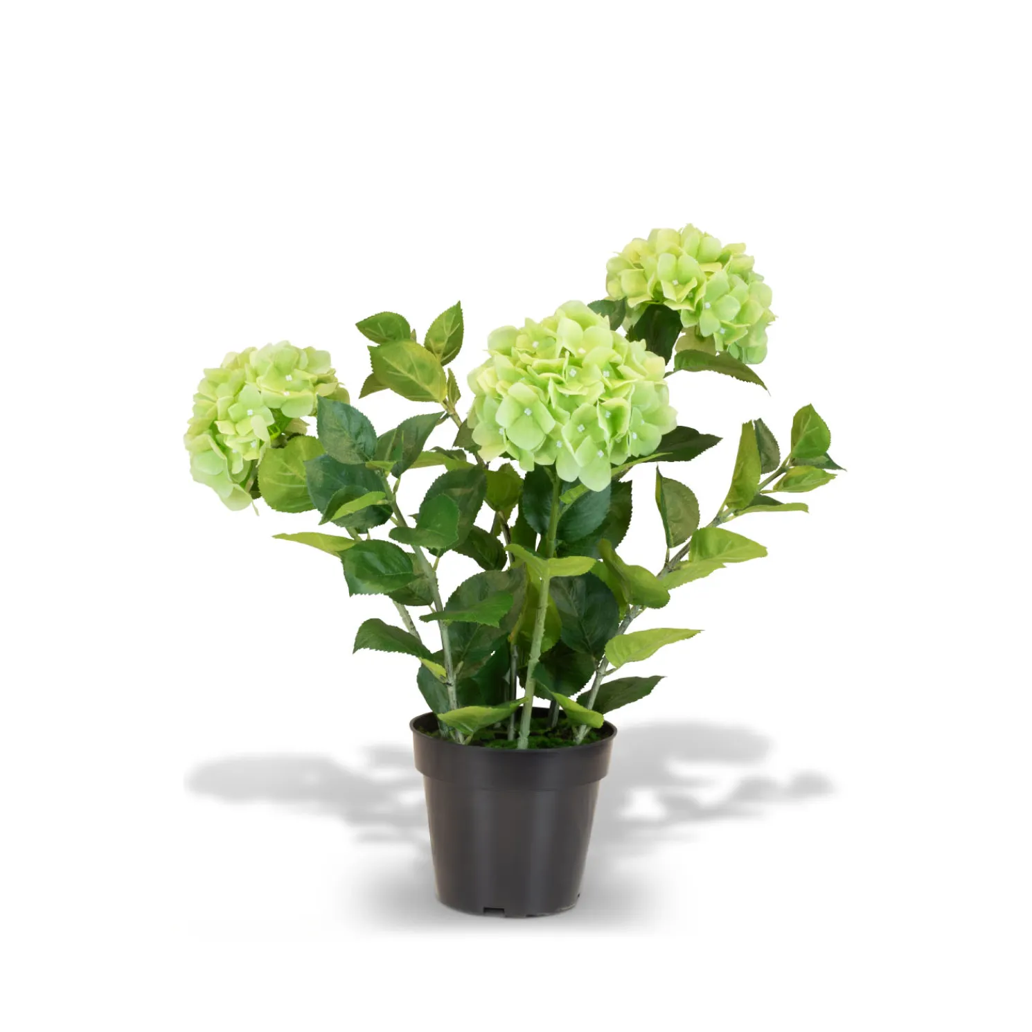 Fleur Ami Hortensie - Hydrangea Kunstpflanze, 3 Blüten, grün
