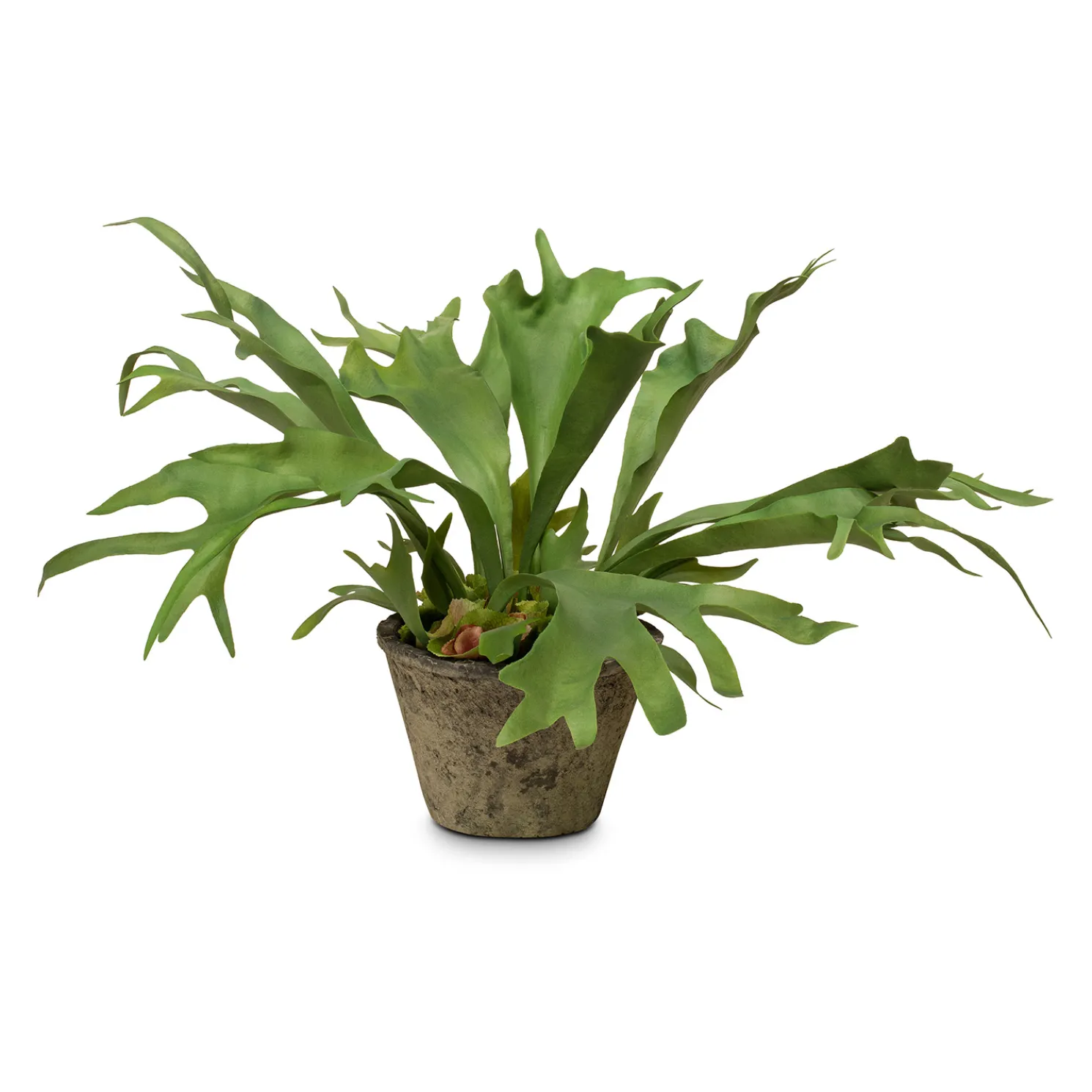 Fleur Ami Geweihfarn - Platycerium Kunstpflanze