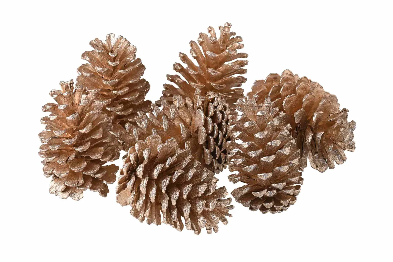 Gift Company Deko-Tannenzapfen gold 7er-Set