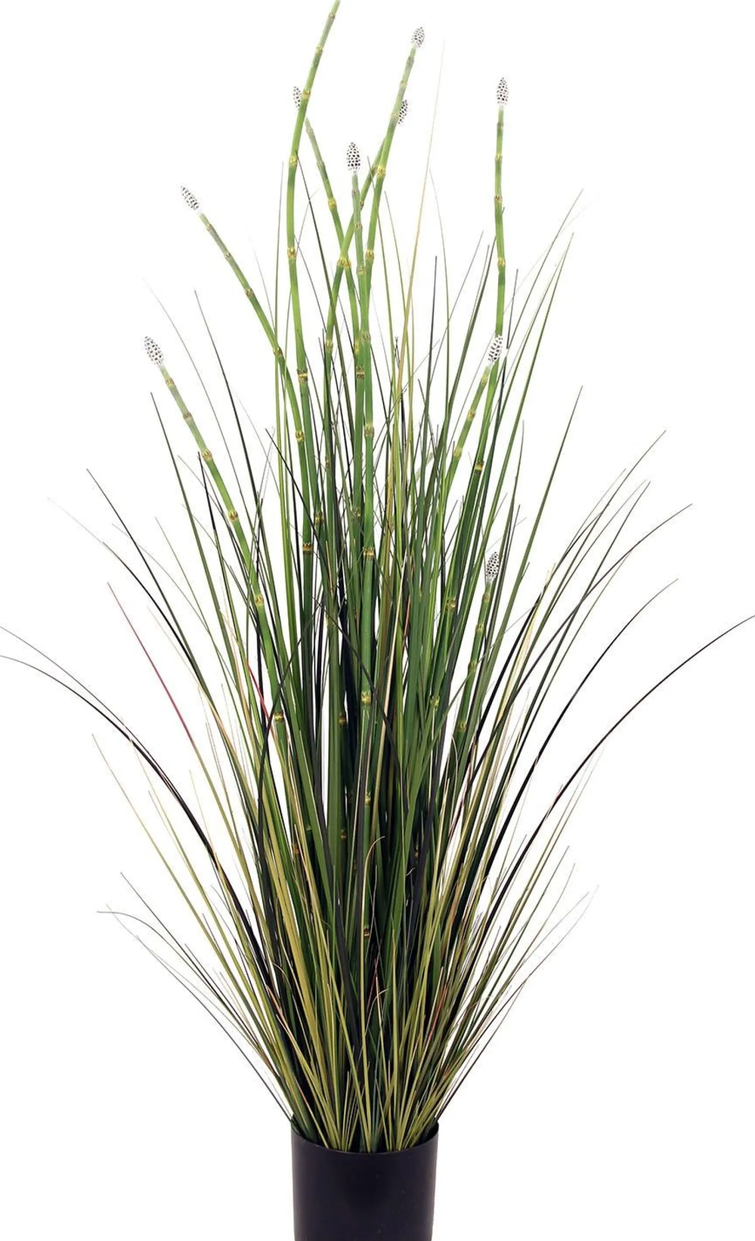 Fleur Ami Schachtelhalm Kunstpflanze 120 cm