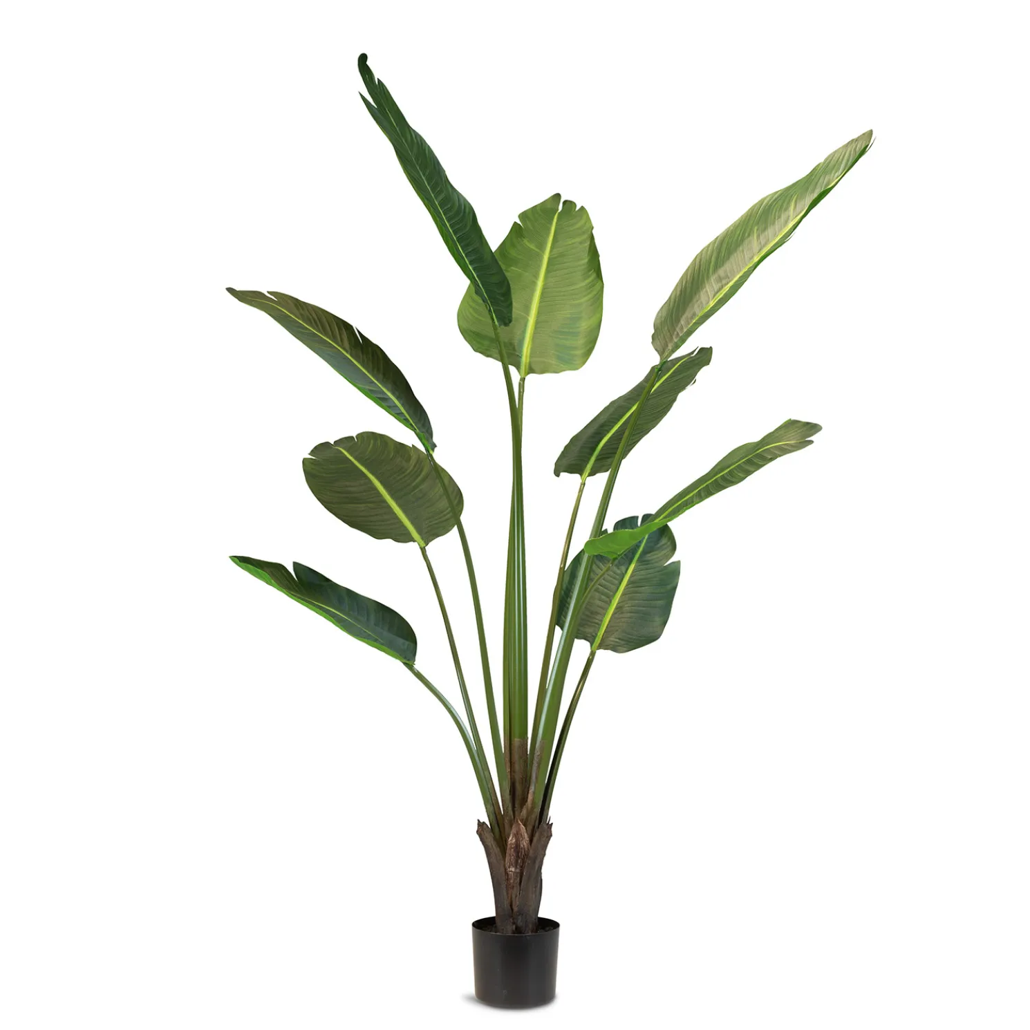 Fleur Ami Strelitzie (Baumstrelitzie) Kunstpflanze 160 cm