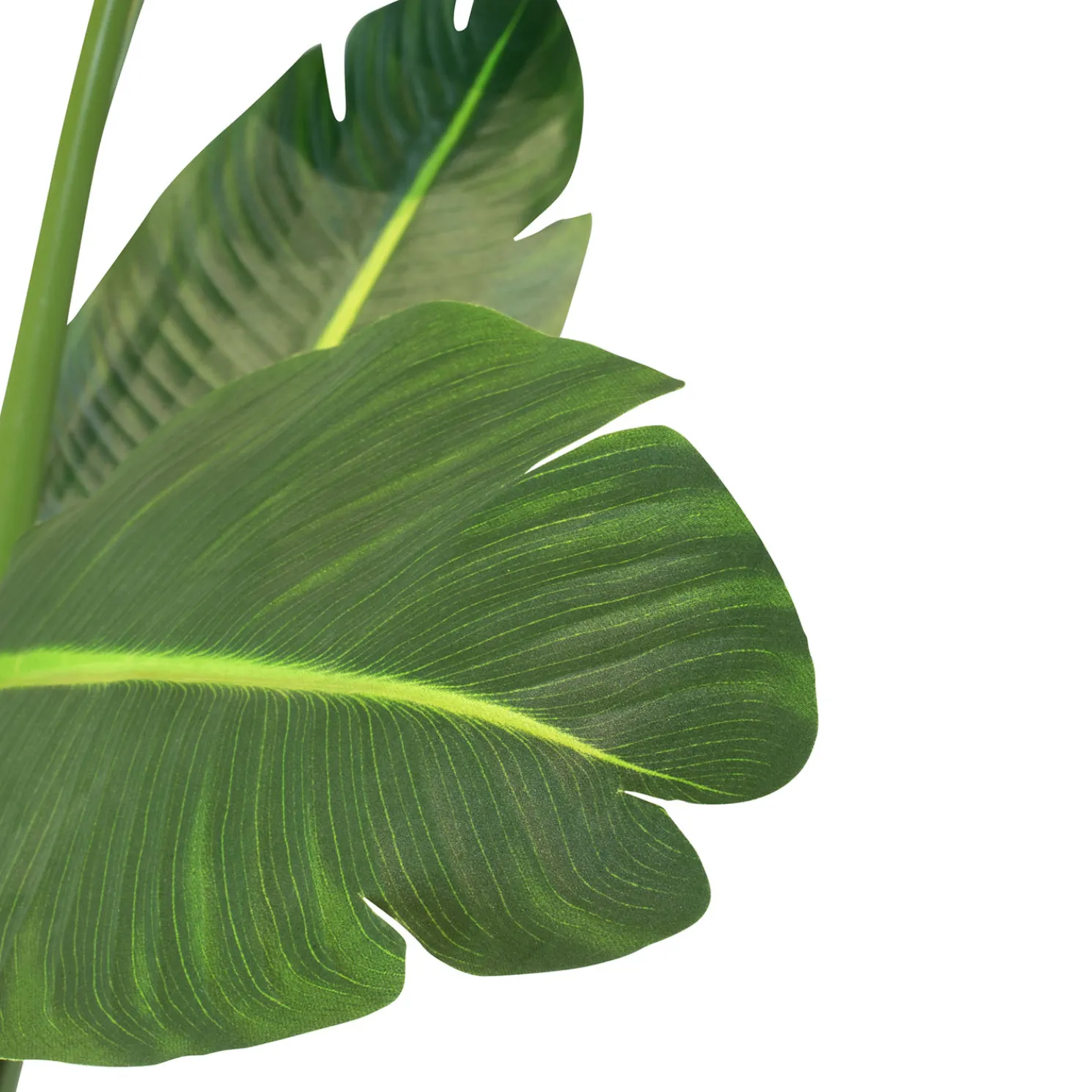 Fleur Ami Strelitzie (Baumstrelitzie) Kunstpflanze 160 cm