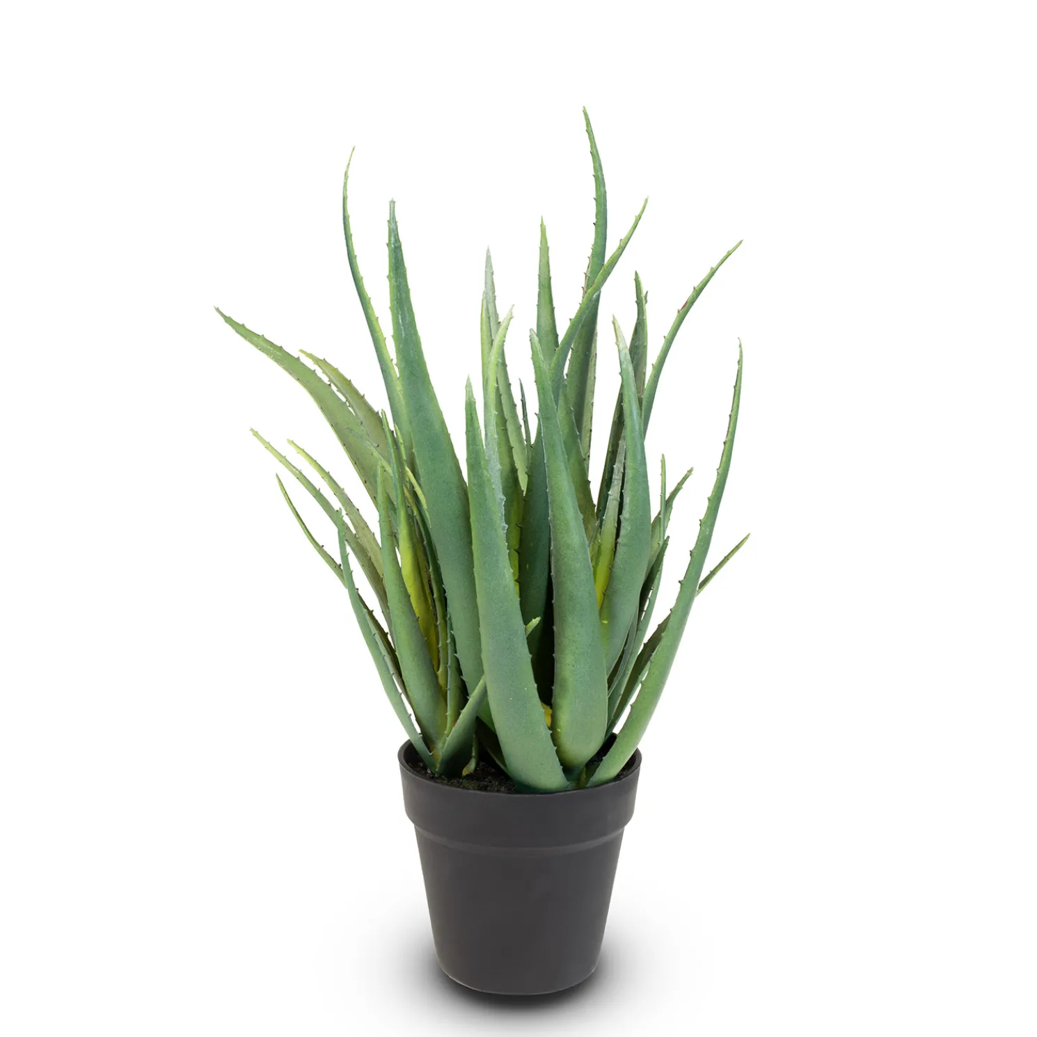 Fleur Ami Aloe Vera Kunstpflanze, Höhe 50 cm