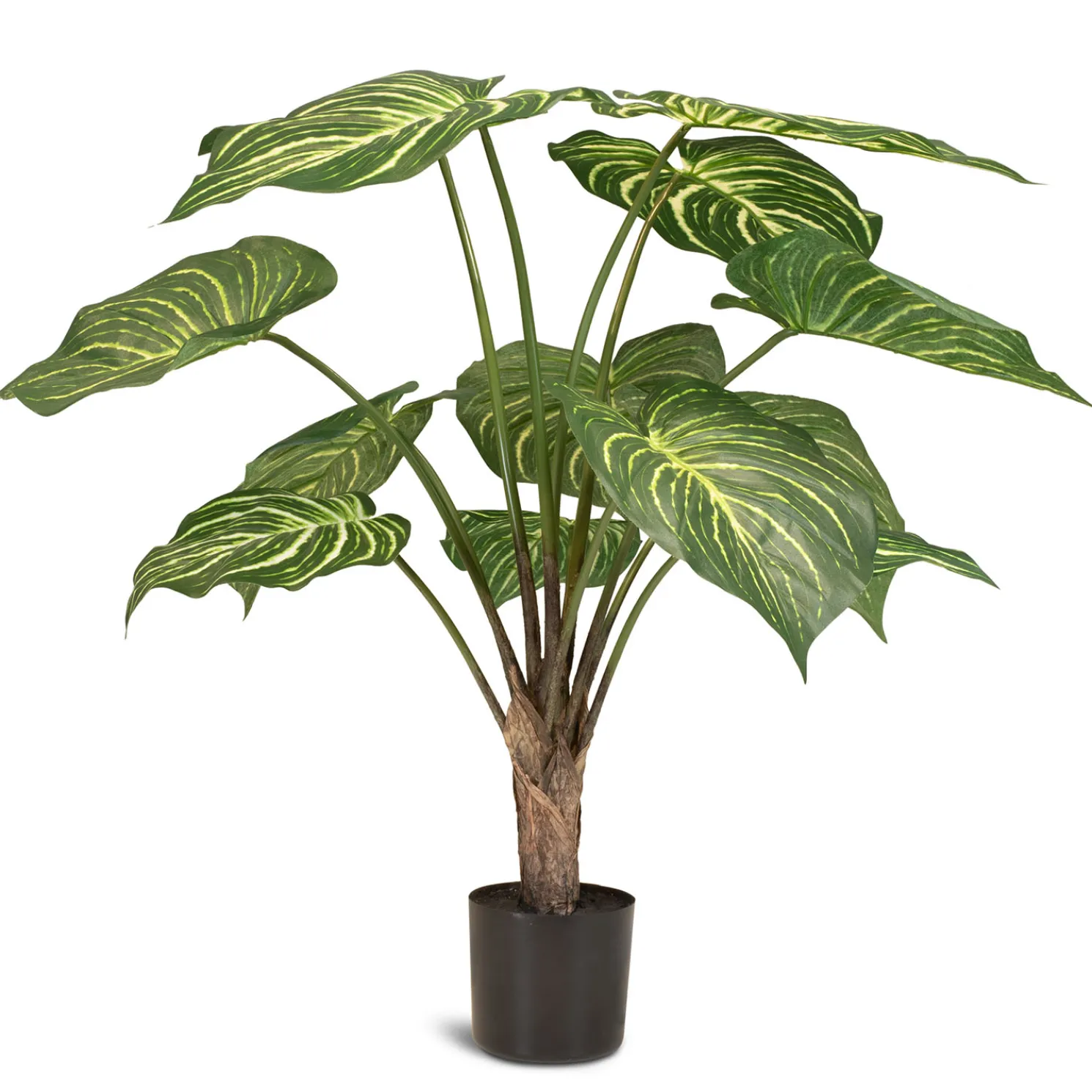 Fleur Ami Calathea Kunstpflanze, UV Stabil, Höhe 70 cm