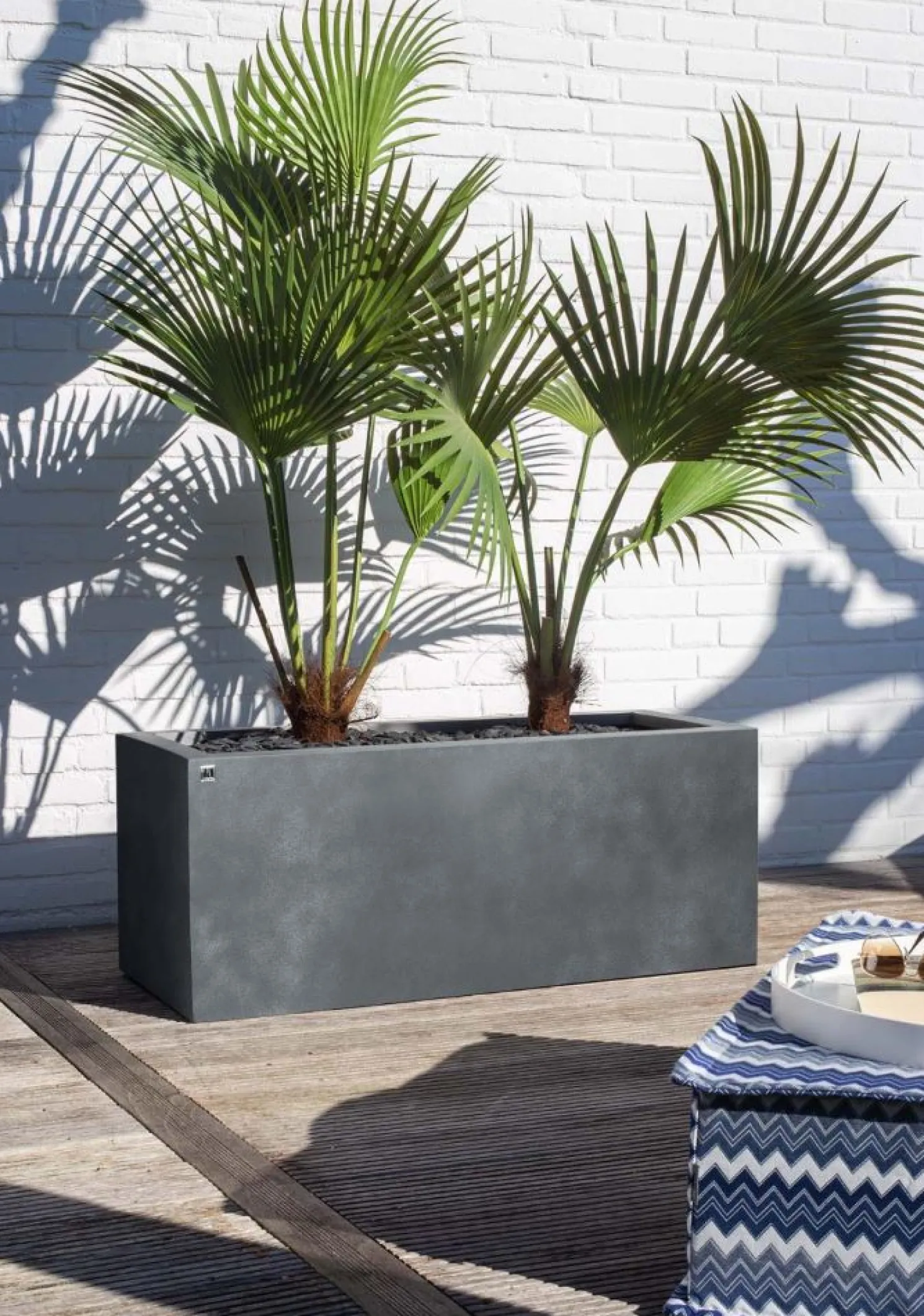 Fleur Ami Division Lite Pflanzkasten mit Rollenaufnahme steingrau 80 x 35 x 35 cm