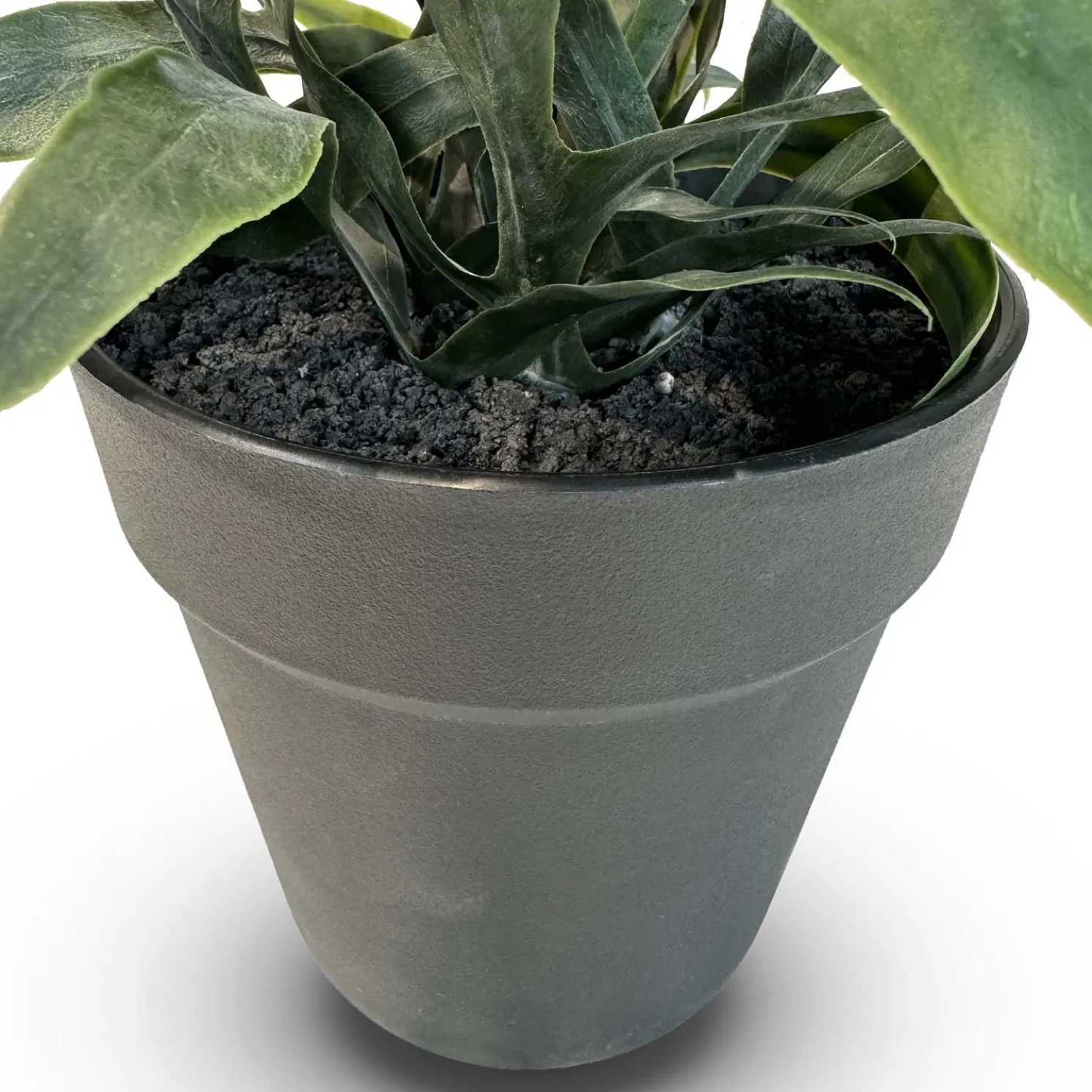 Fleur Ami Goldtüpfelfarn - Phebodium aureum Kunstpflanze, UV Stabil