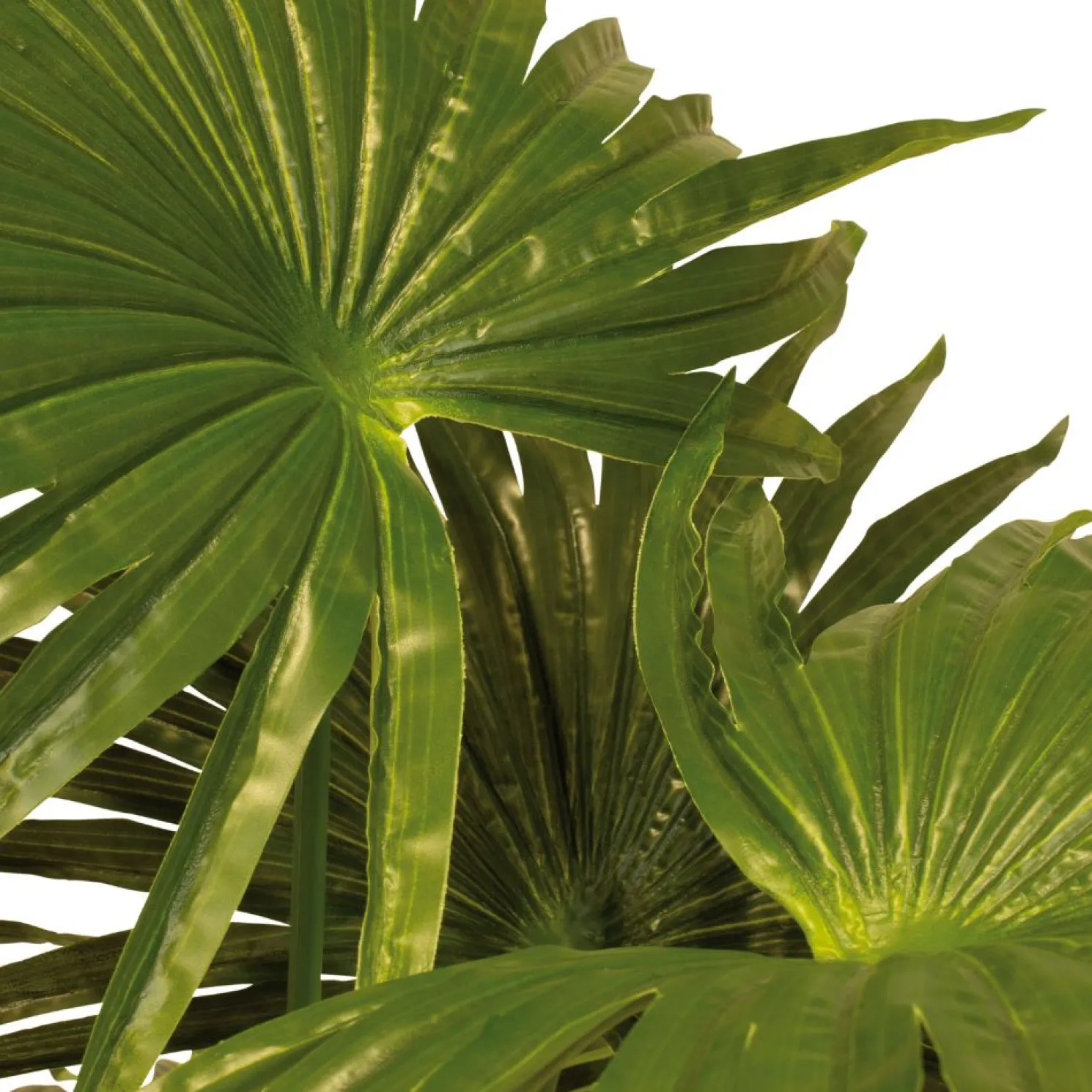 Fleur Ami Grüne Fächerpalme Kunstpflanze 140 cm