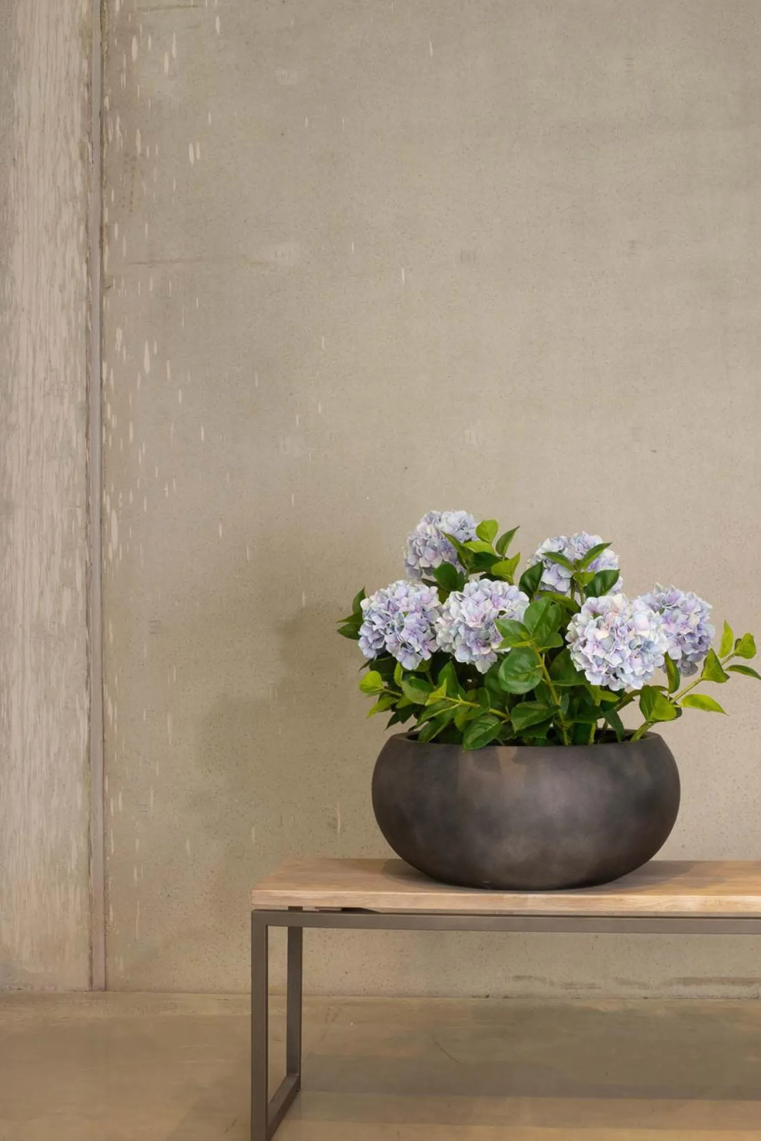 Fleur Ami Hortensie - Hydrangea Kunstpflanze, blau