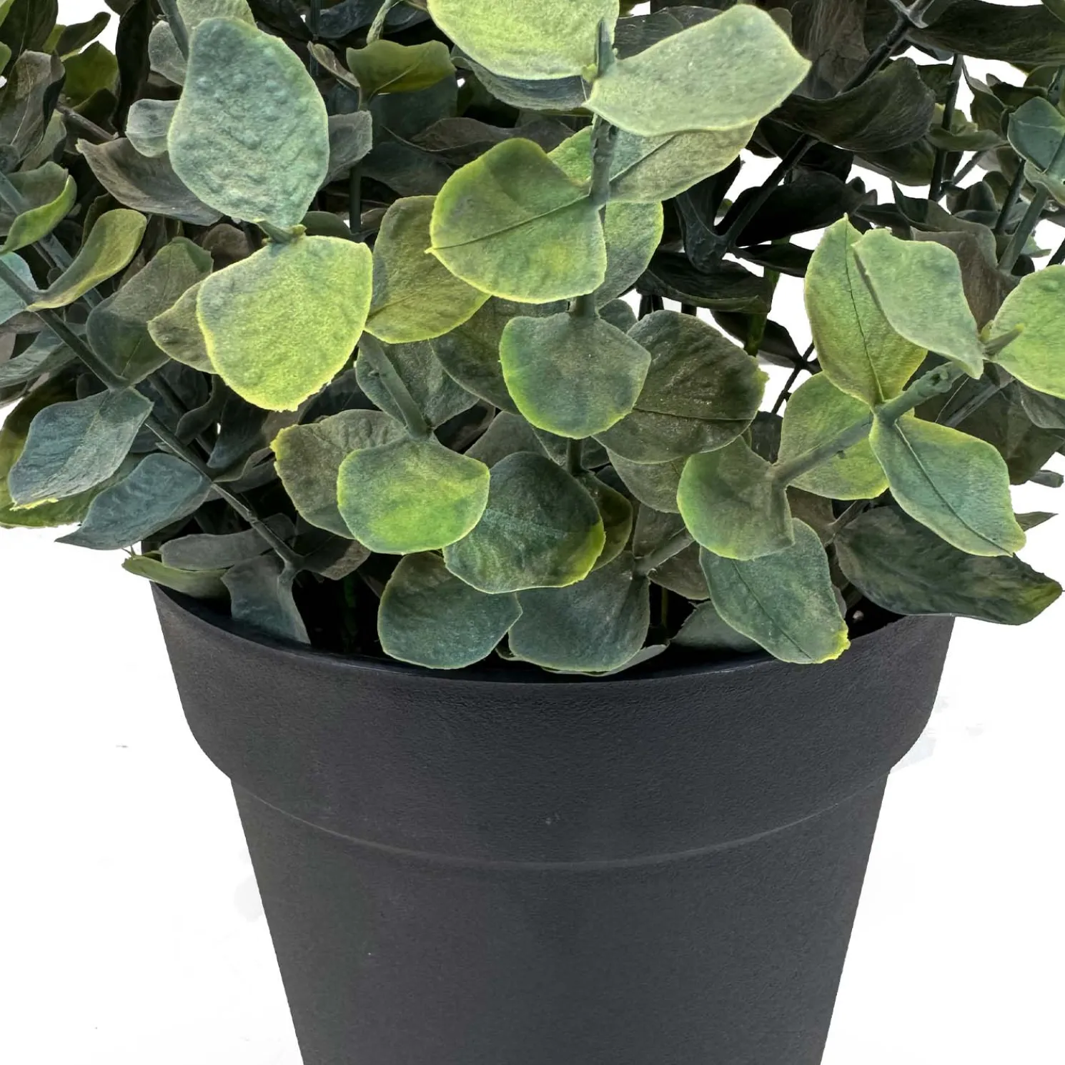 Fleur Ami Künstliche Eucalyptus Pflanze, Höhe 60 cm