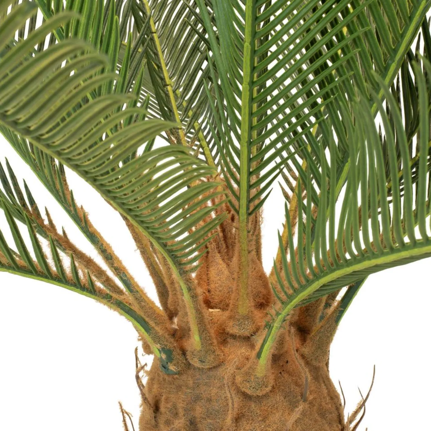 Fleur Ami Palmfarn Cycas Kunstpflanze, 85 cm