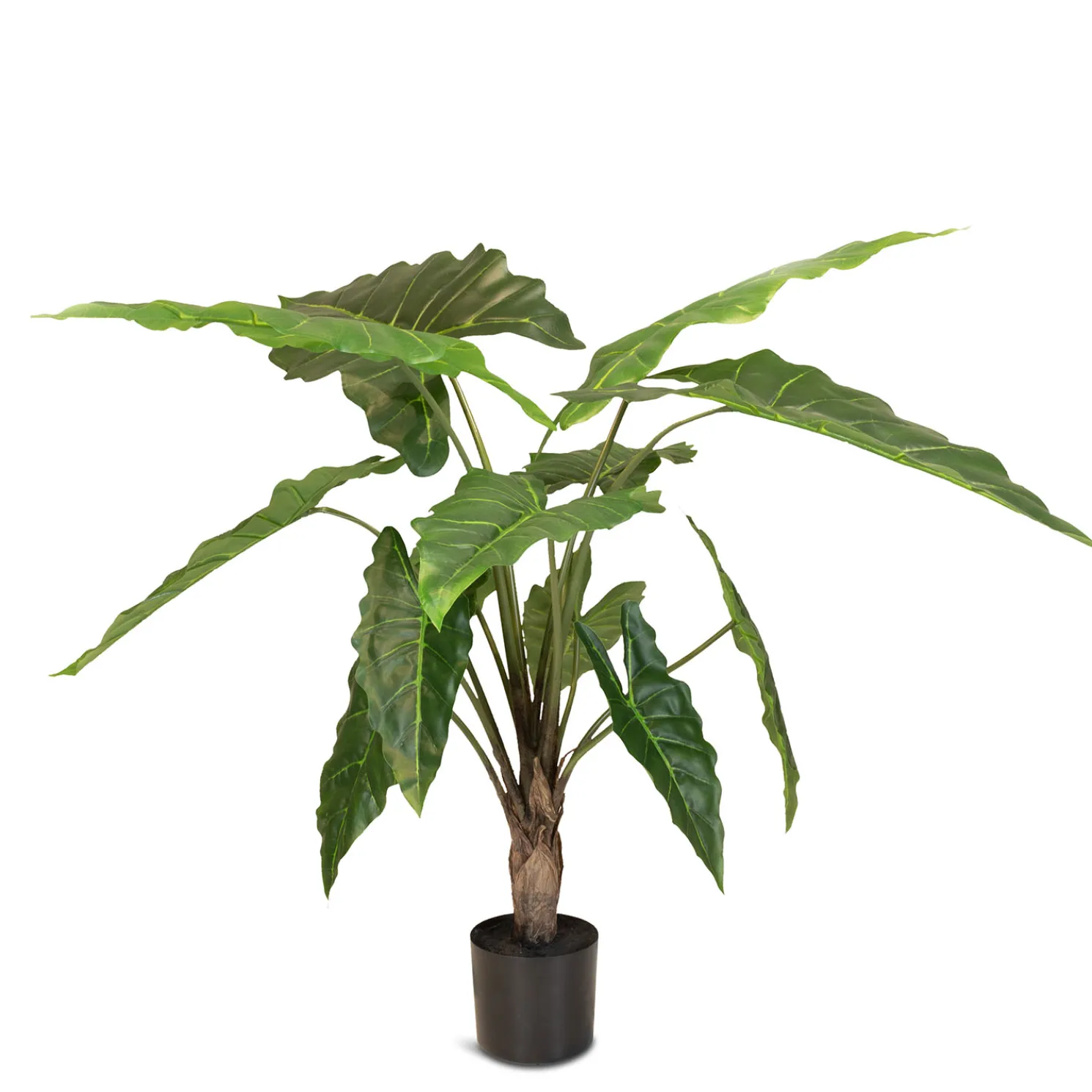 Fleur Ami Pfeilblatt - Alocasia Pflanze aus Kunststoff