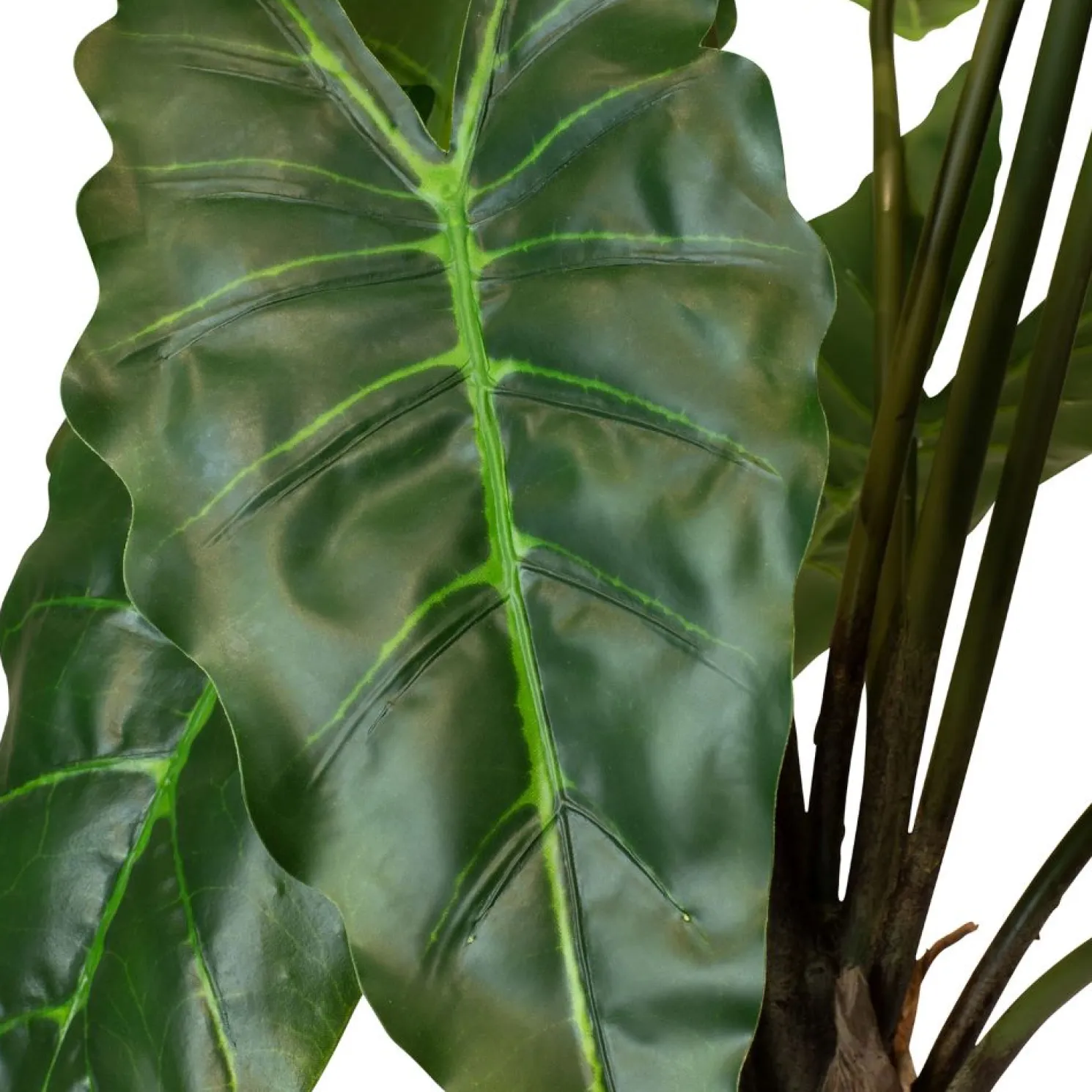 Fleur Ami Pfeilblatt - Alocasia Pflanze aus Kunststoff