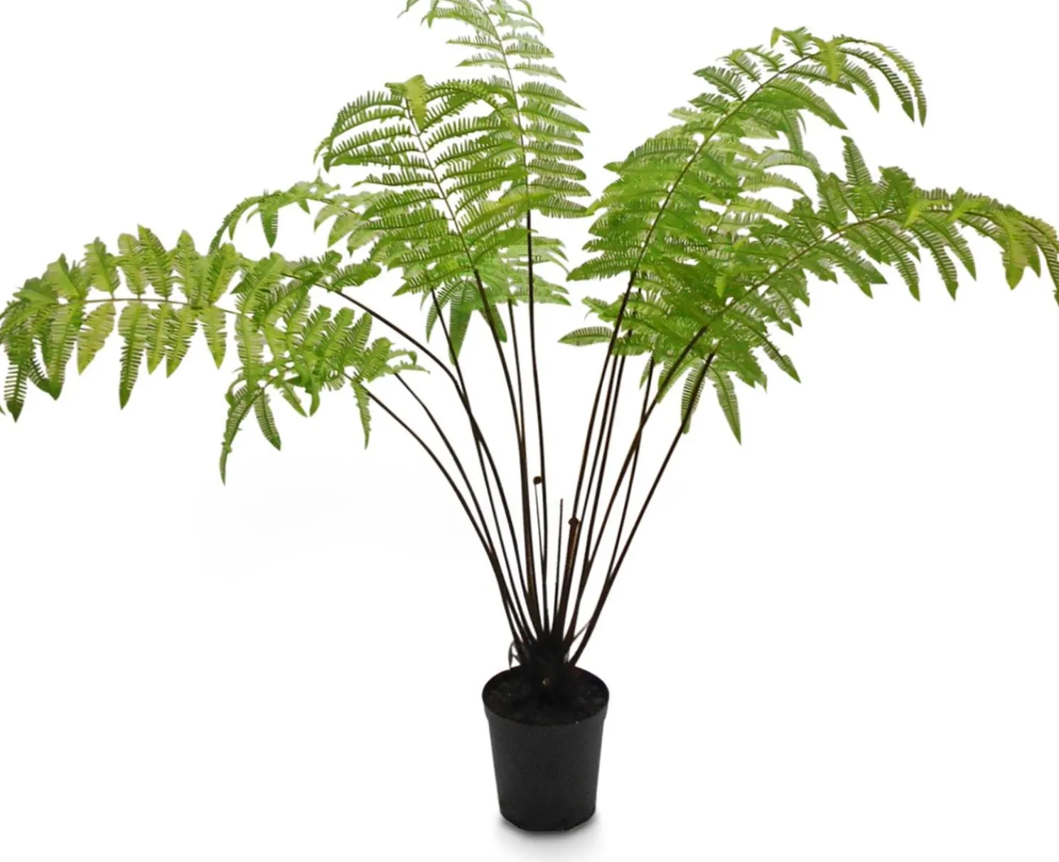 Fleur Ami Riesenfarn Kunstpflanze 185 cm