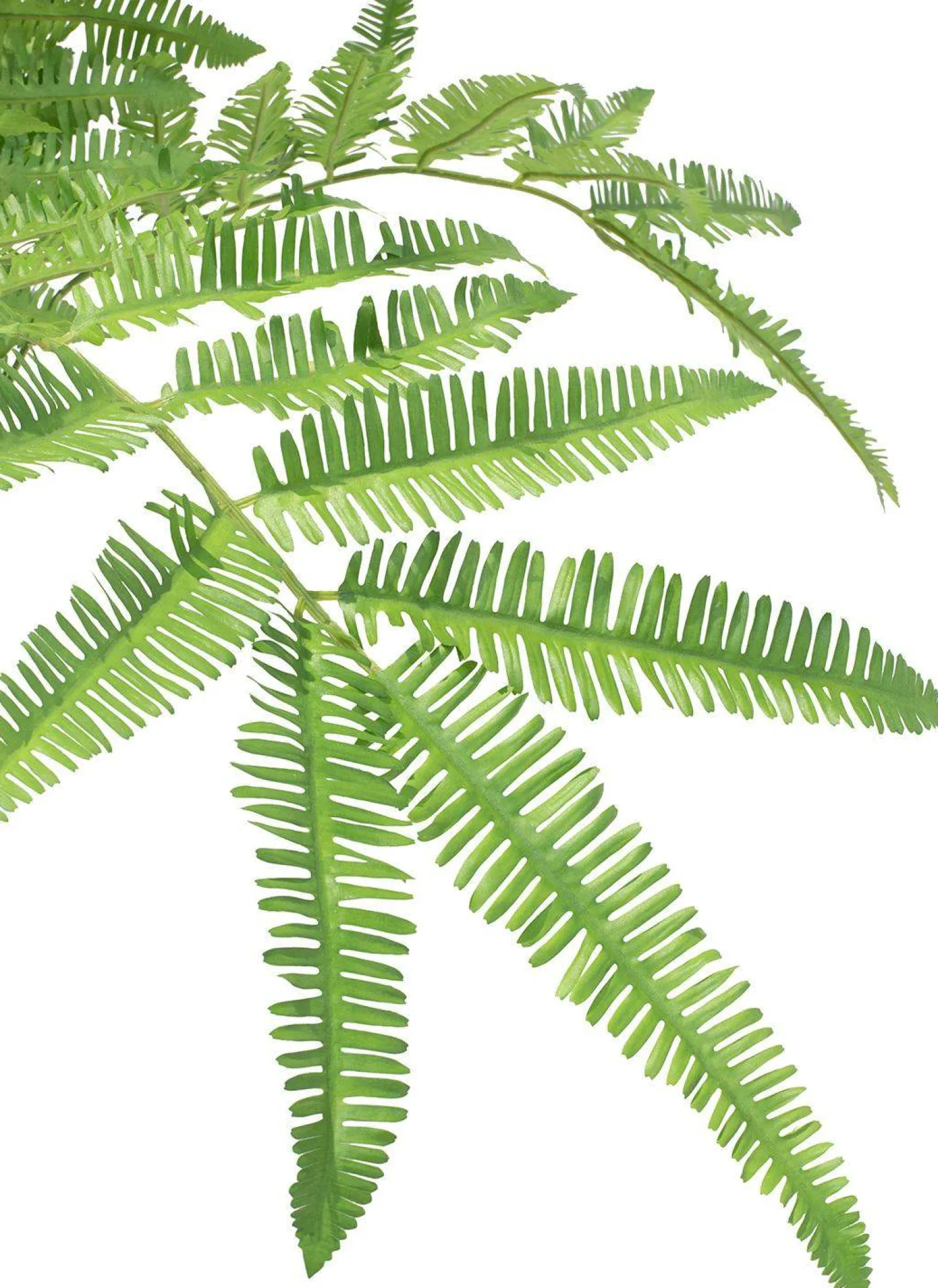 Fleur Ami Riesenfarn Kunstpflanze 185 cm