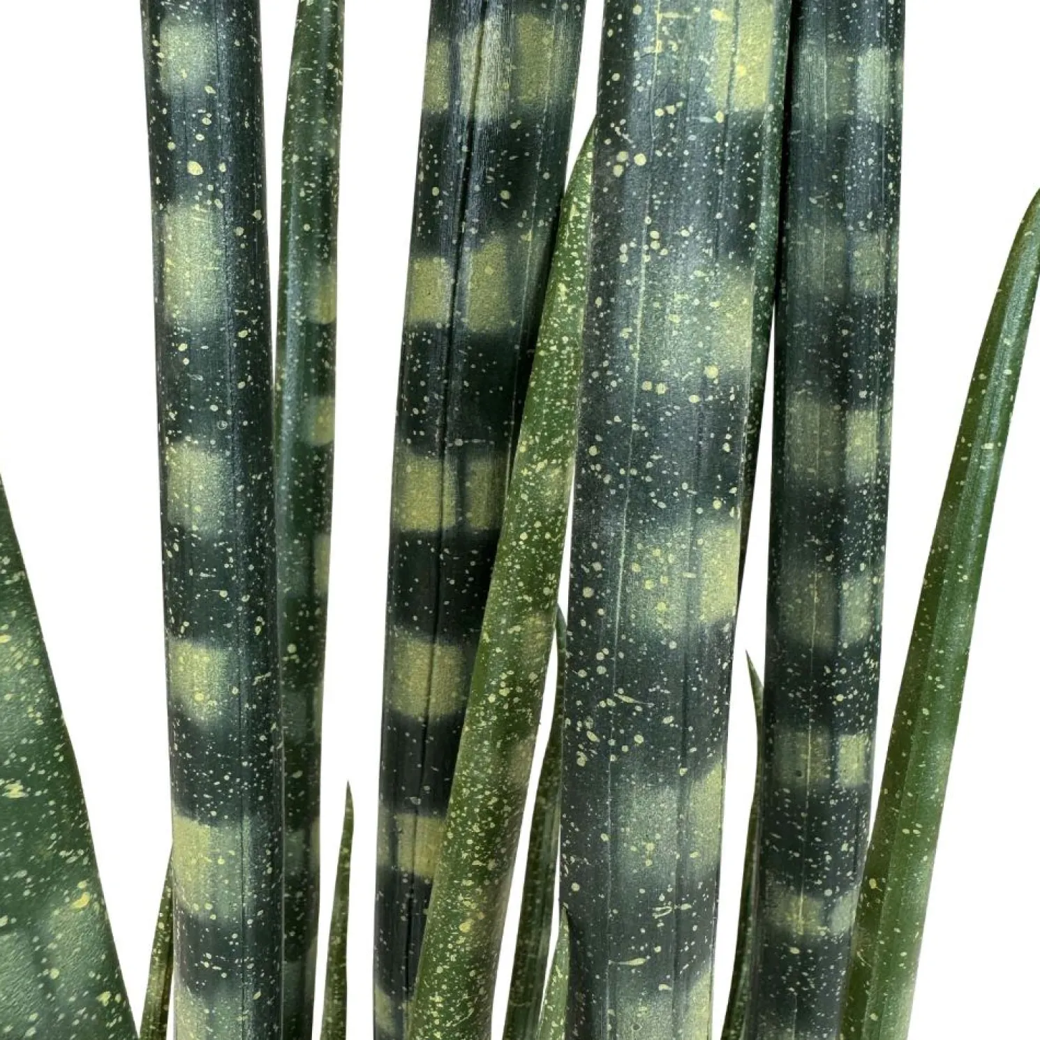 Fleur Ami Sansevieria cylindrica - Zylindrischer Bogenhanf Kunstpflanze