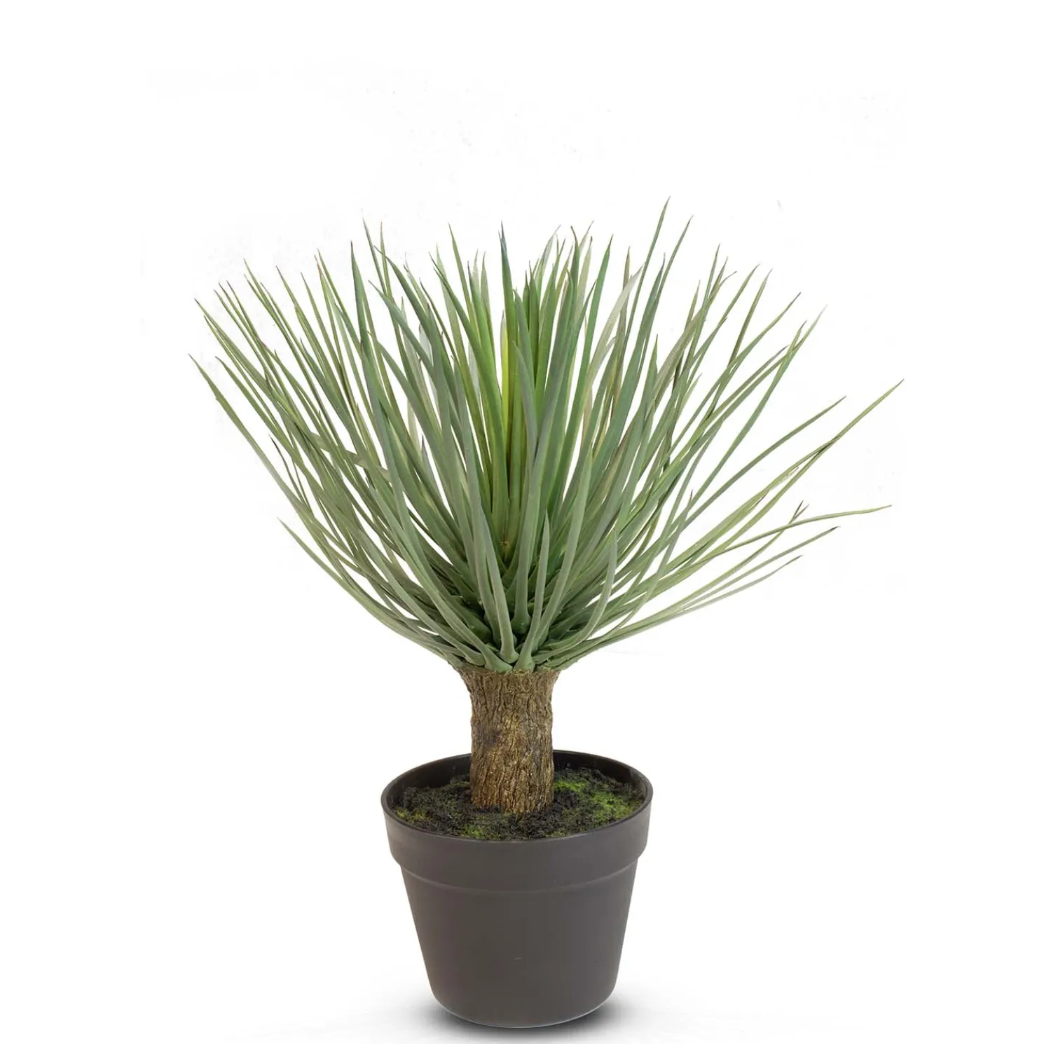 Fleur Ami Seggen - Carex Kunstpflanze mit schmalen Blättern