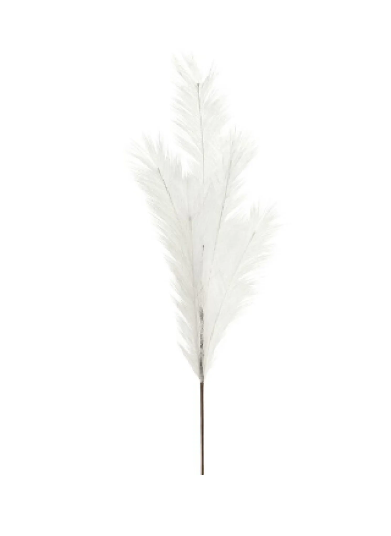 Gift Company Deko-Zweig Pampas L85 cm weiß