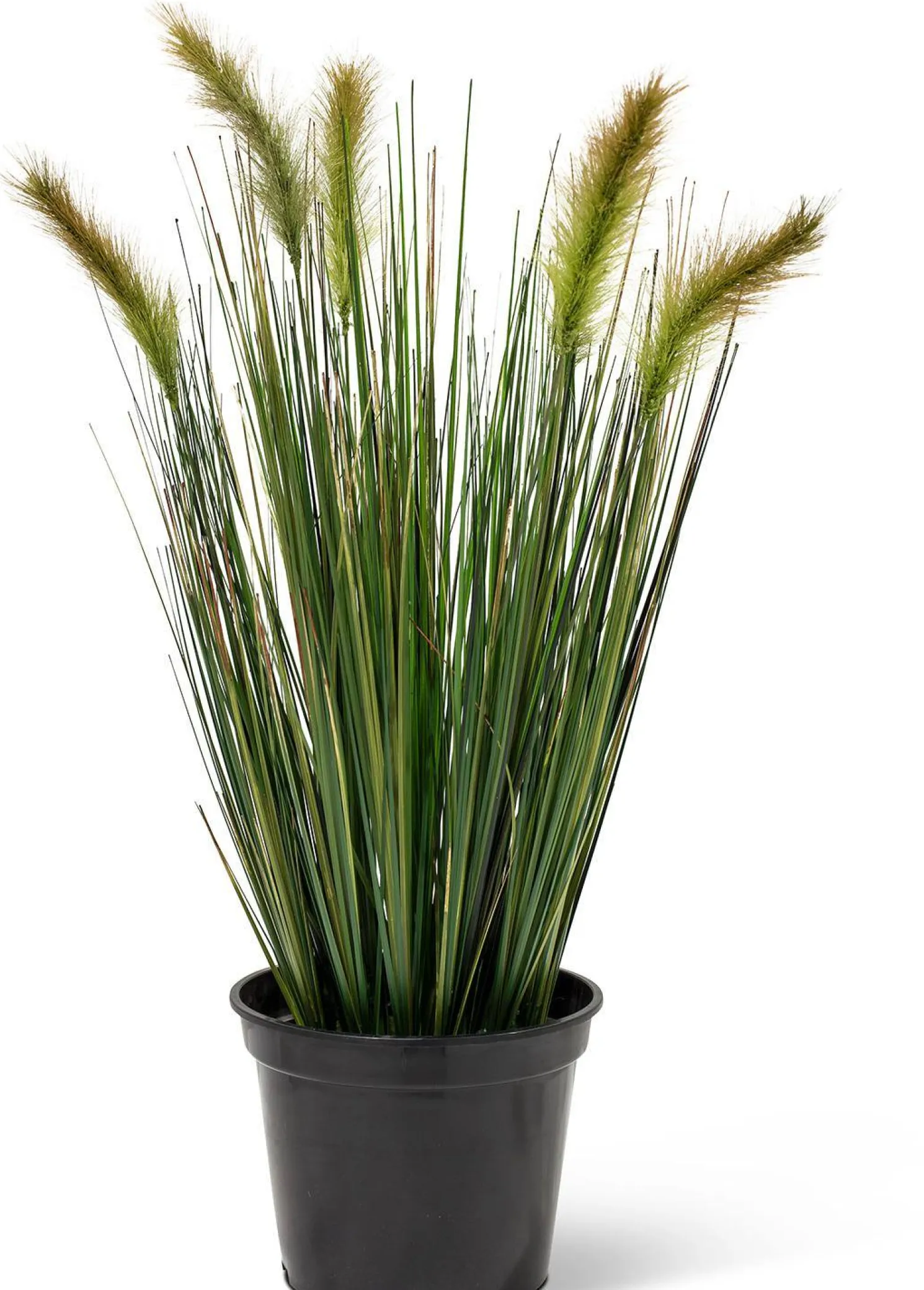 Fleur Ami Fuchsschwanzgras Kunstpflanze 60 cm