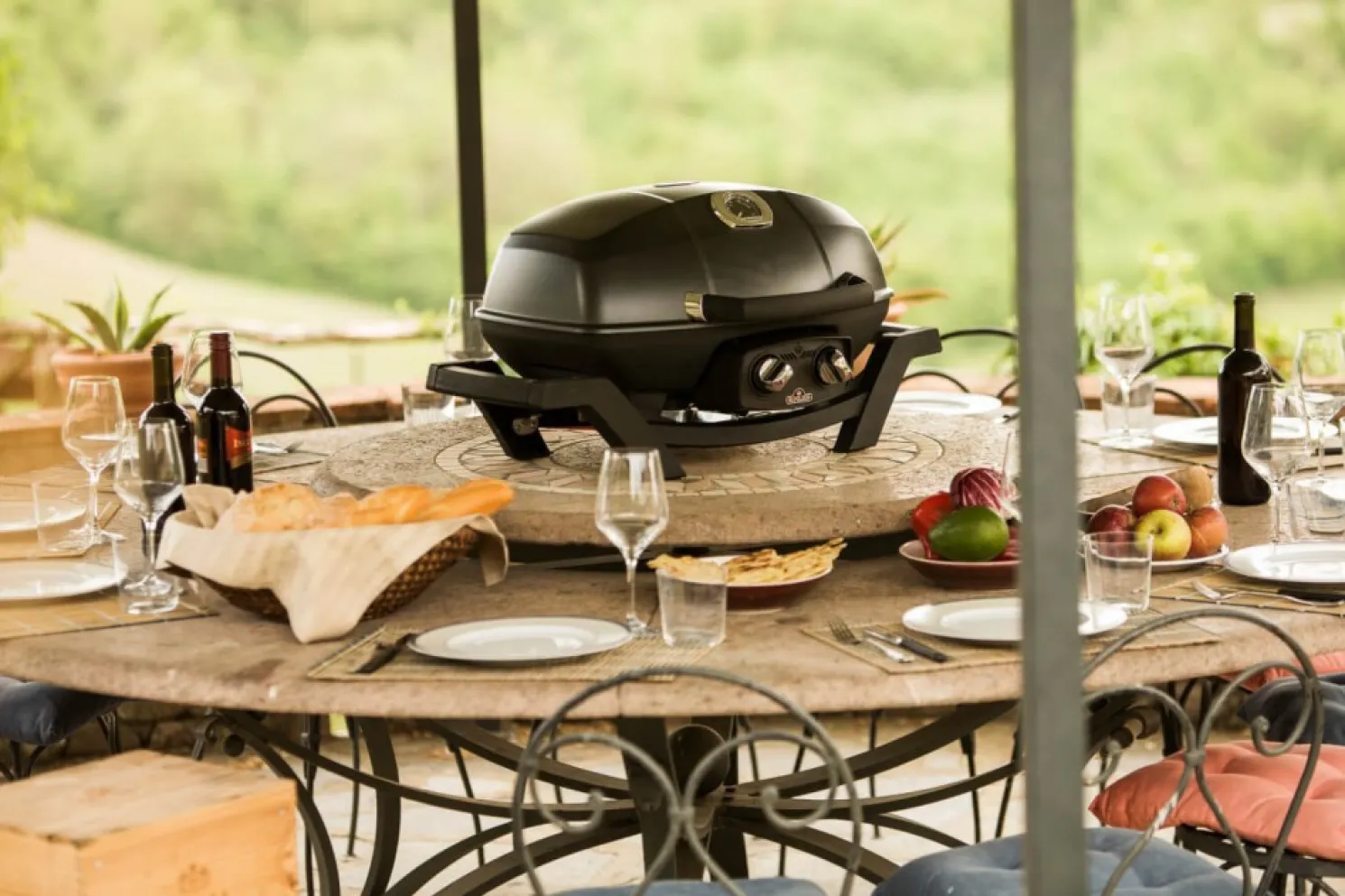 Napoleon Mobiler Gasgrill TRAVELQ™ PRO285