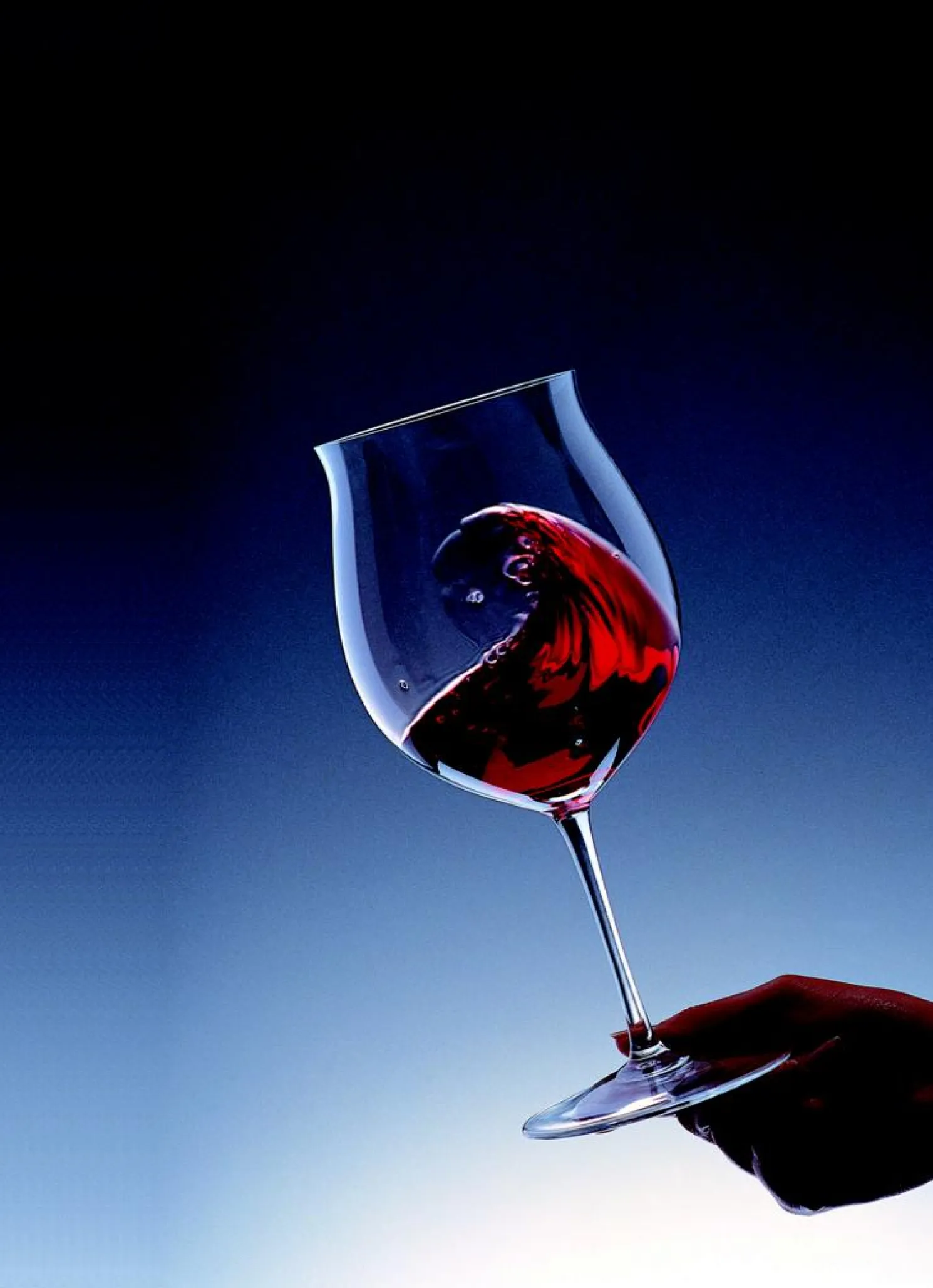 Riedel Sommeliers - Burgundy Grand Cru (1 Stück)