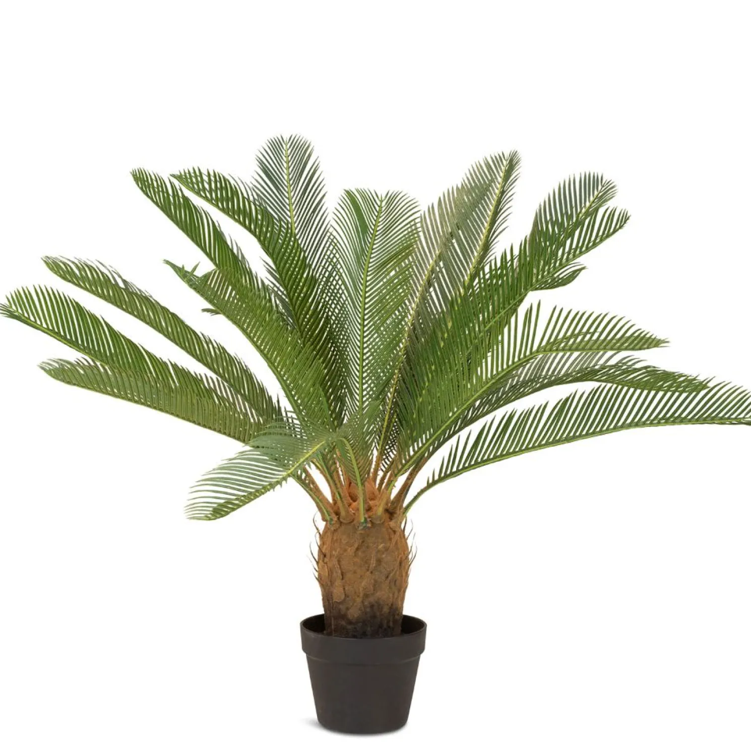 Fleur Ami Palmfarn Cycas Kunstpflanze, 85 cm