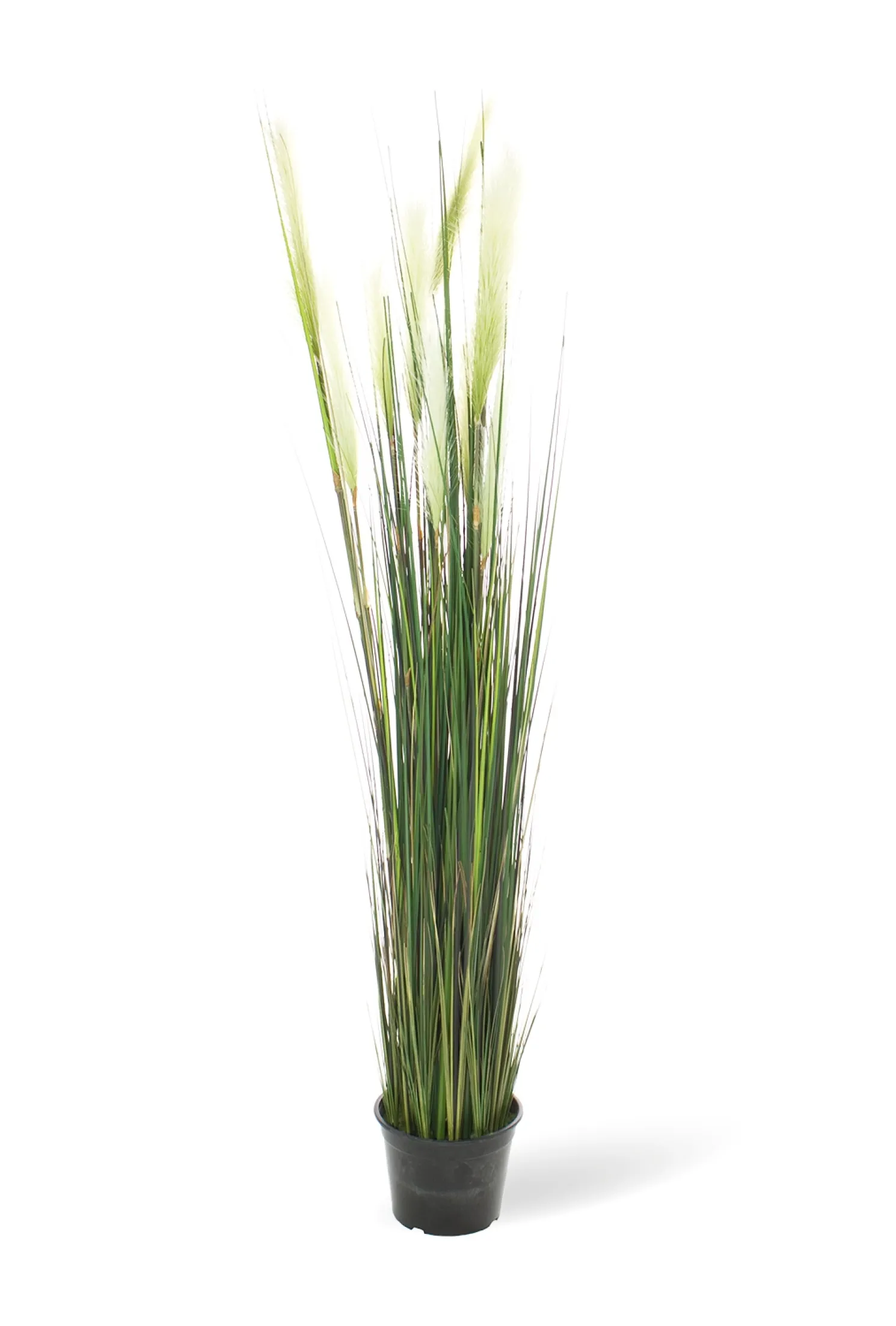 Fleur Ami Rohrkolben (typha) Kunstpflanze 152 cm