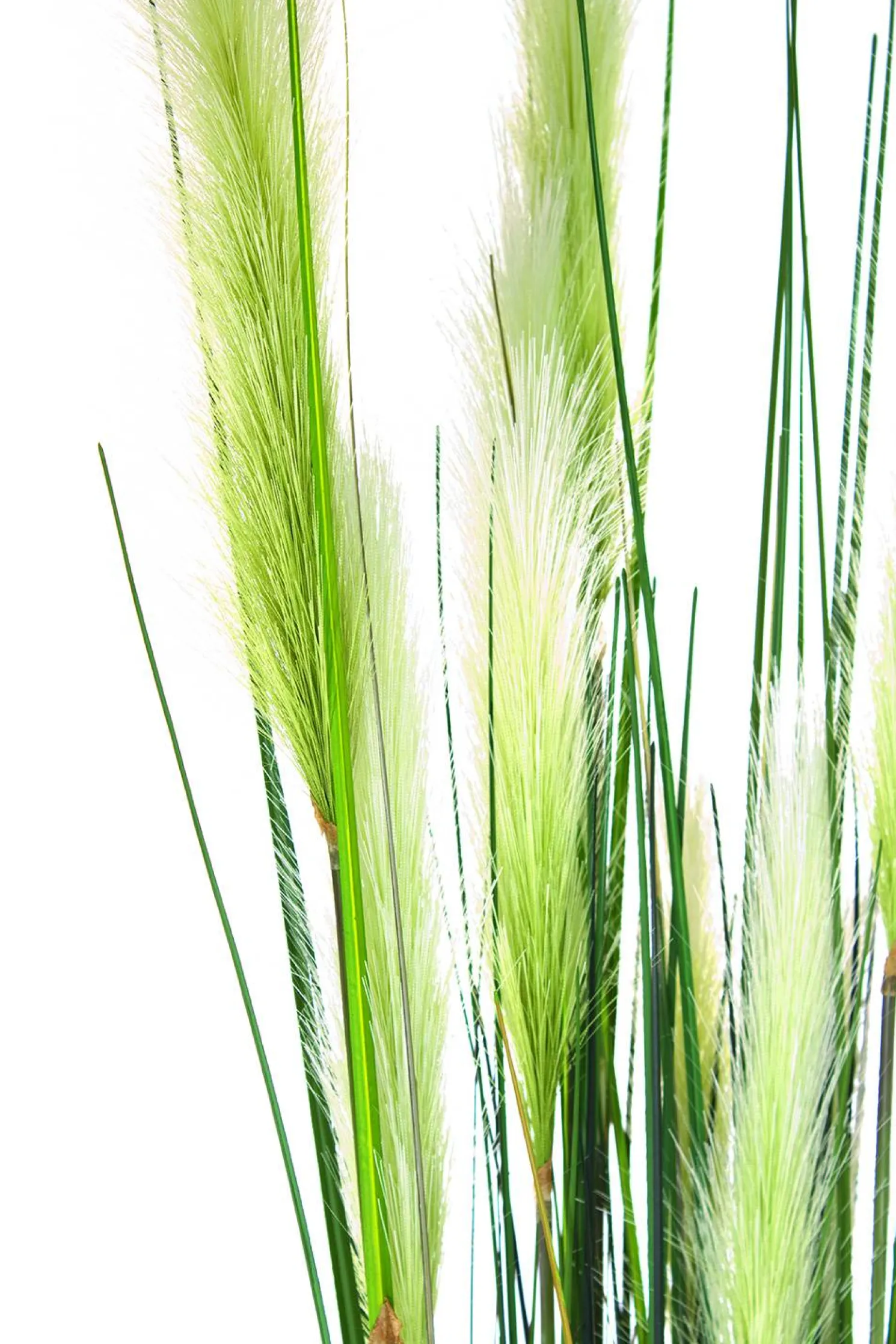 Fleur Ami Rohrkolben (typha) Kunstpflanze 152 cm