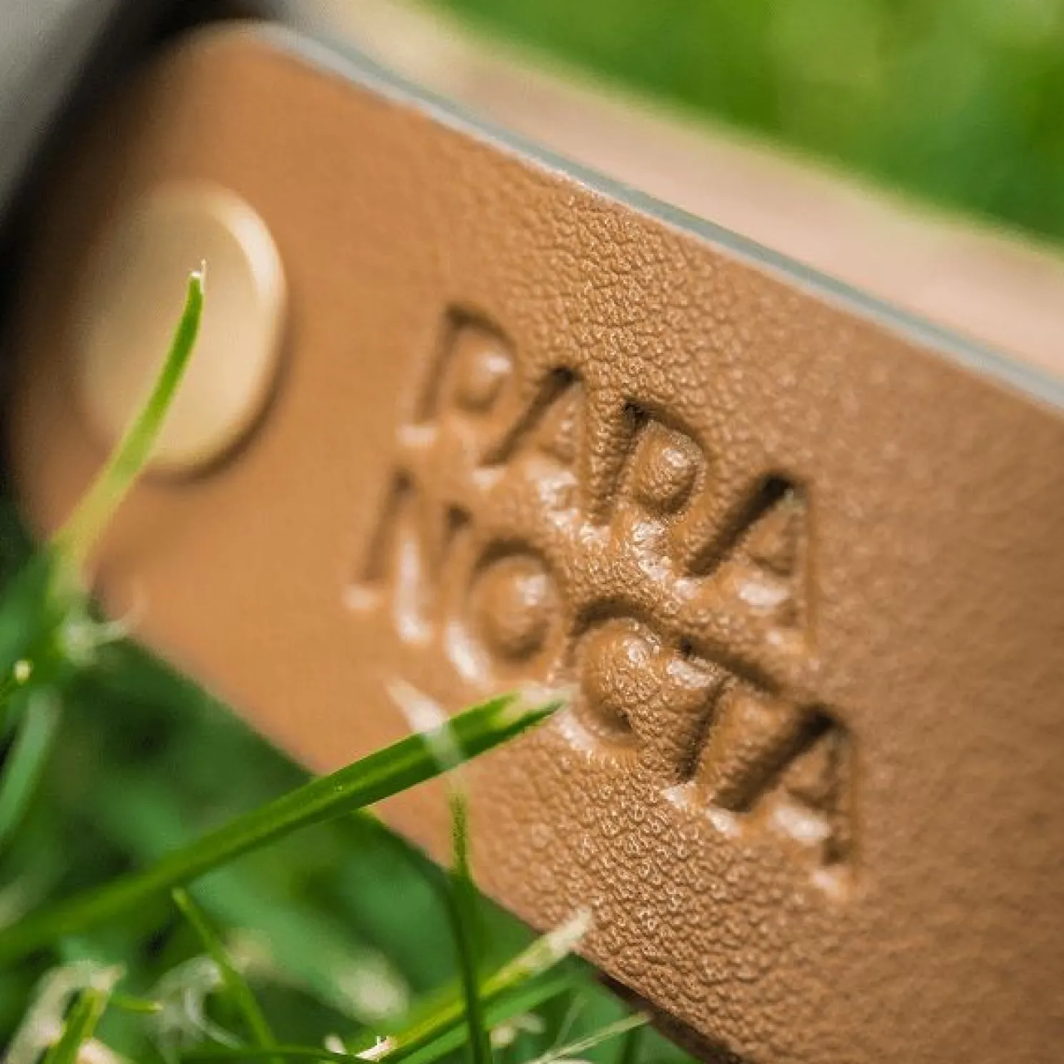 Paranocta Tragegriff für Bulbee-Lampe