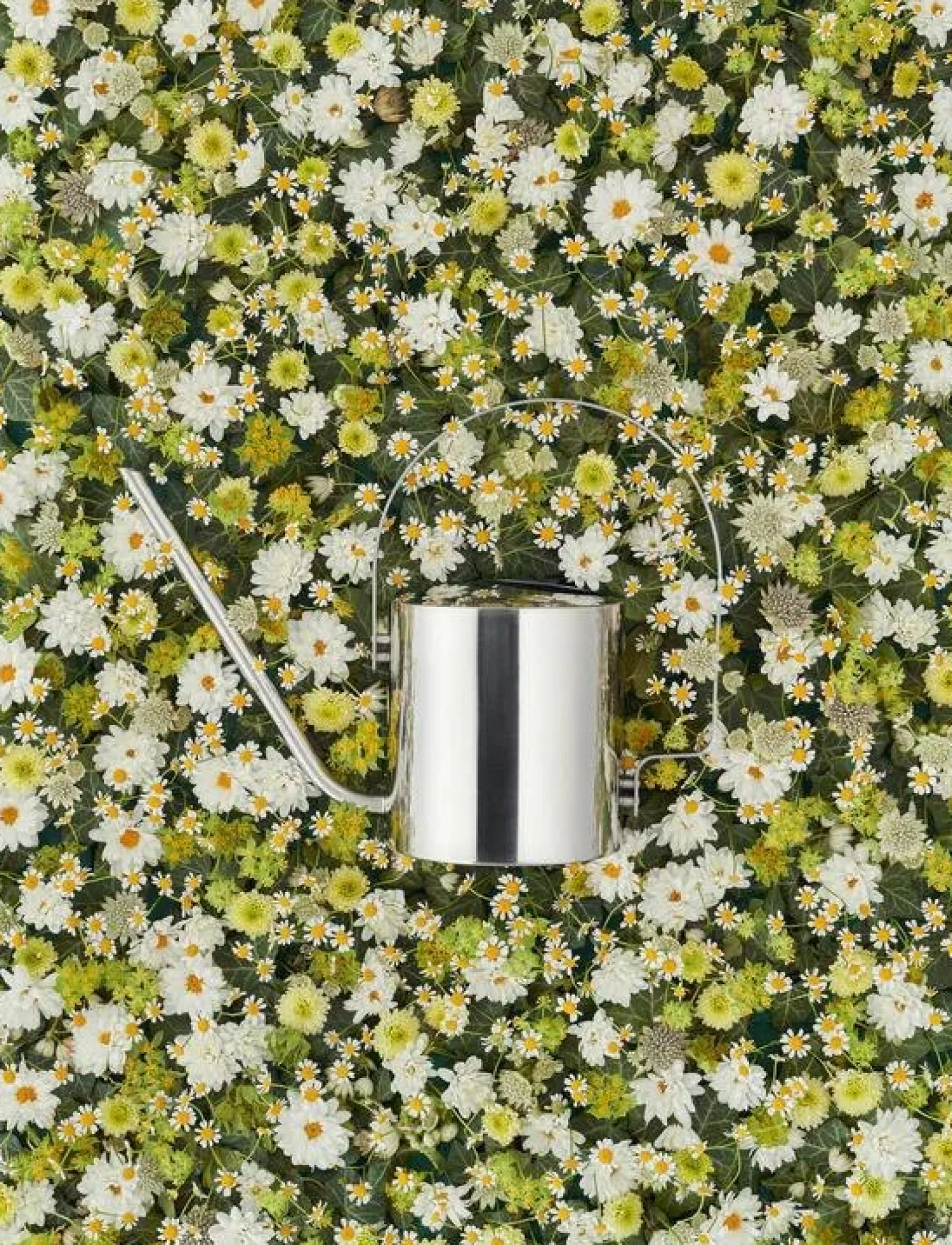 Stelton Original Blumengießkanne 1,7 l