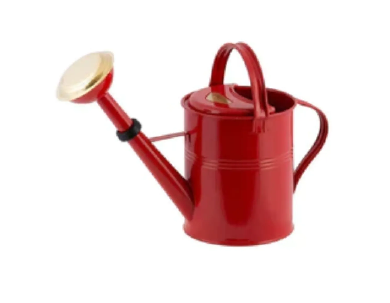 Plint Gießkanne 5 Liter Rot