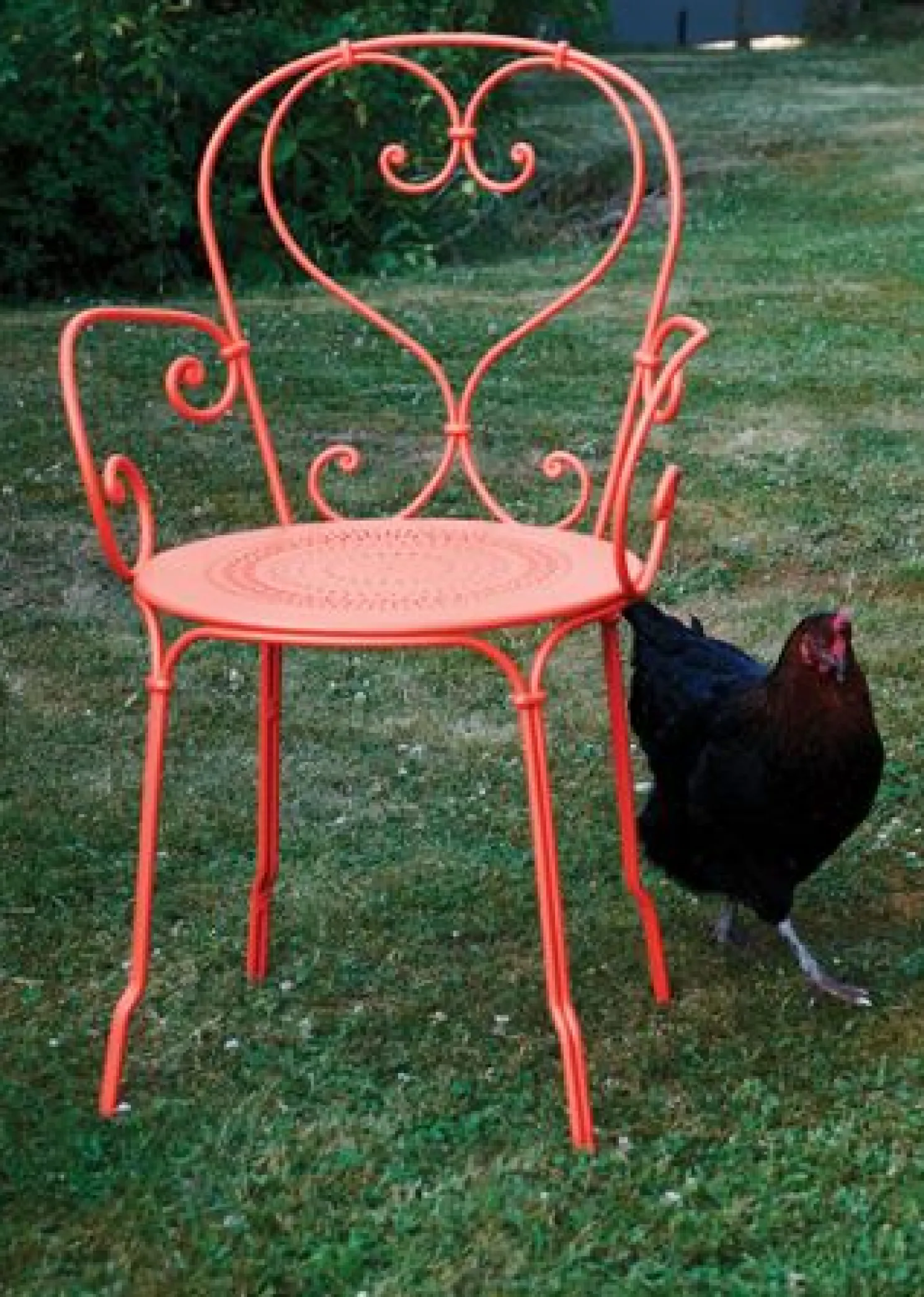 Fermob 1900 Sessel Kaktus