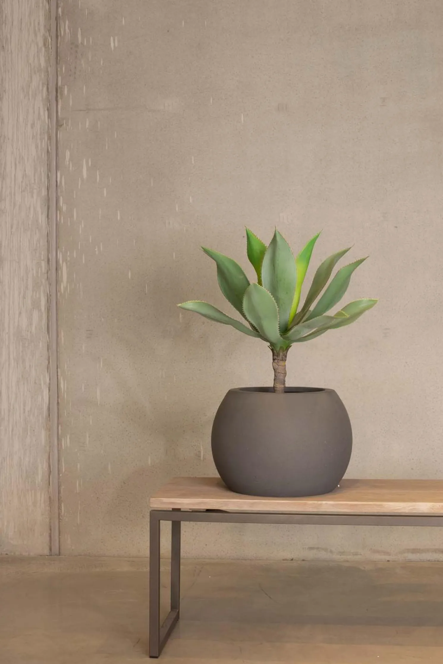 Fleur Ami Künstliche Aloe Vera Pflanze