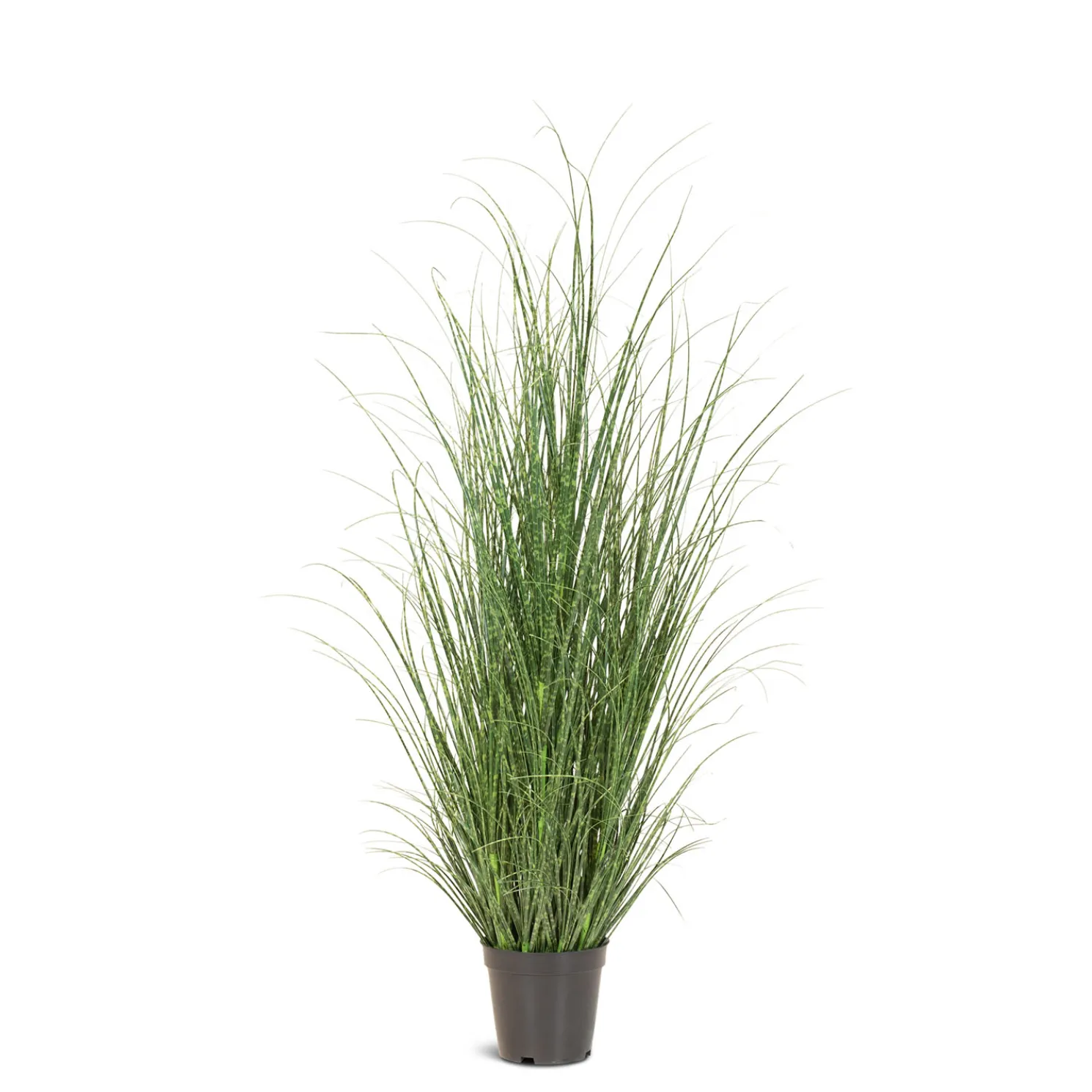 Fleur Ami Zebragras Miscanthus Sinensis Kunstpflanze, Höhe 100 cm