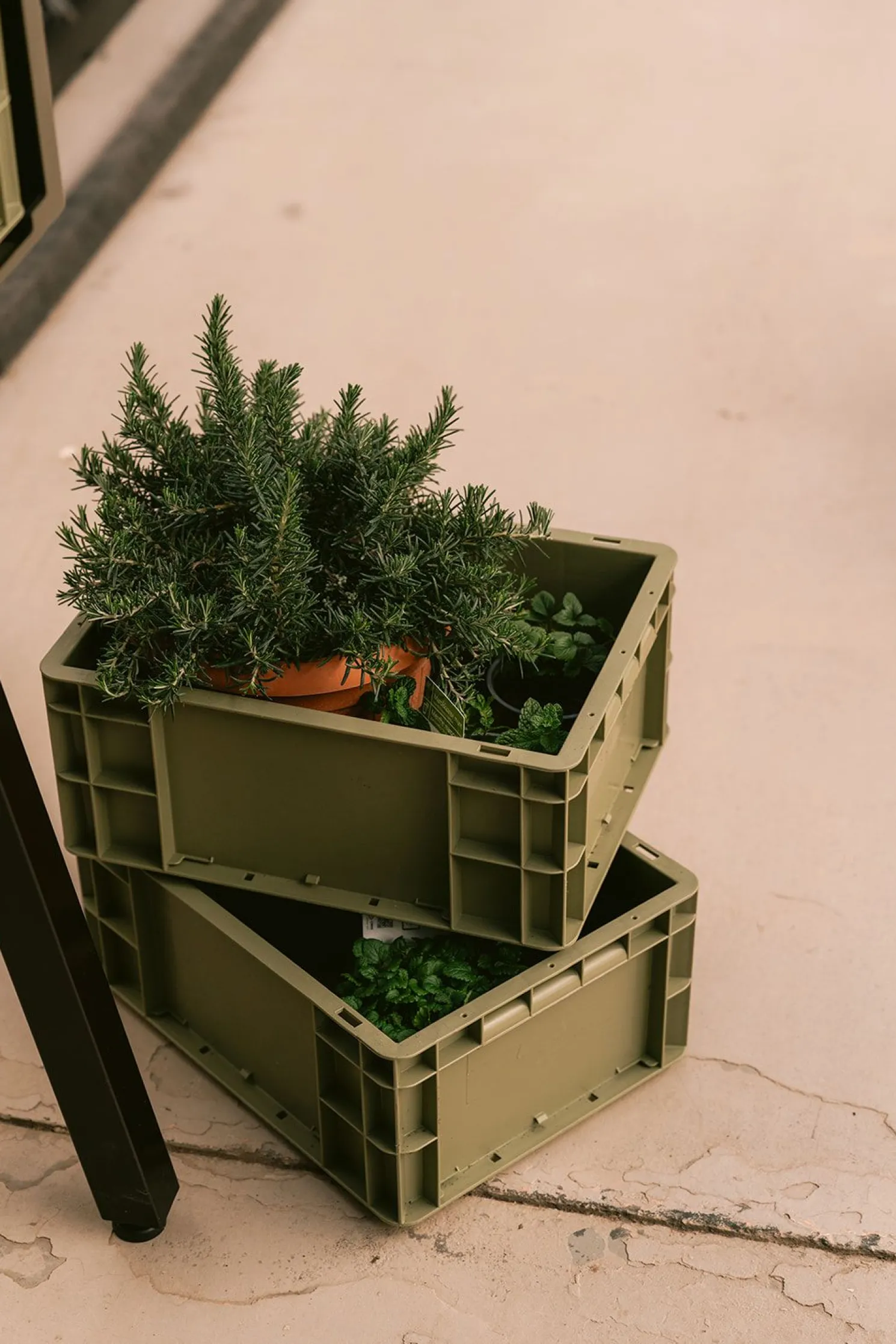 Weltevree Gardenworks Aufbewahrungskiste in Grün