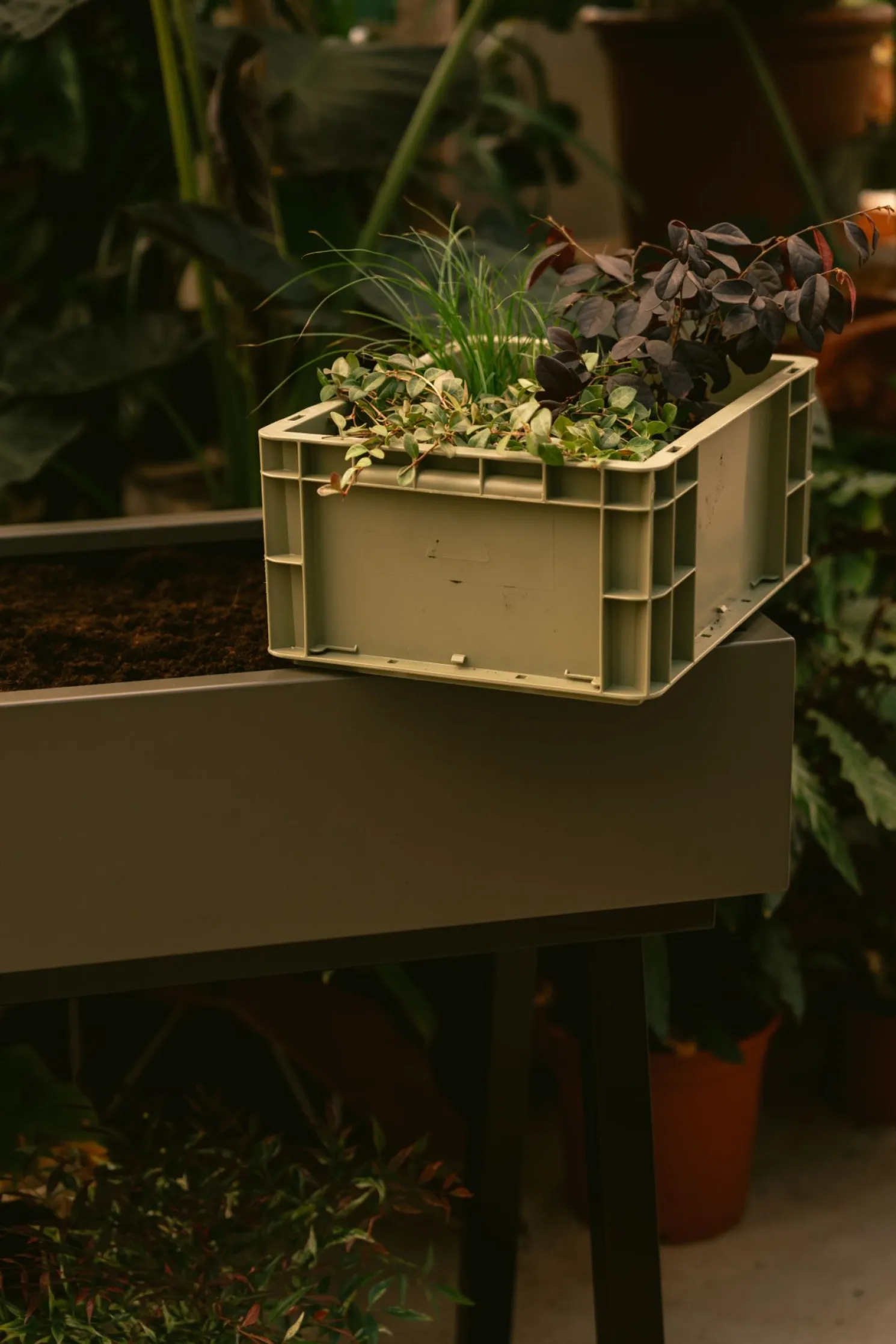 Weltevree Gardenworks Aufbewahrungskiste in Grün