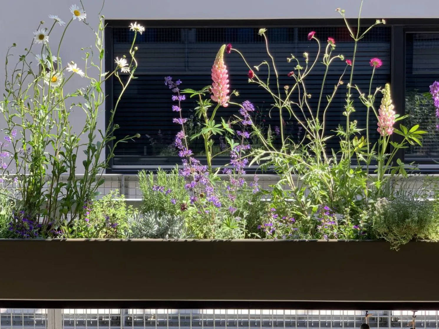 Weltevree Gardenworks - Gemüse- und Pflanzbehälter