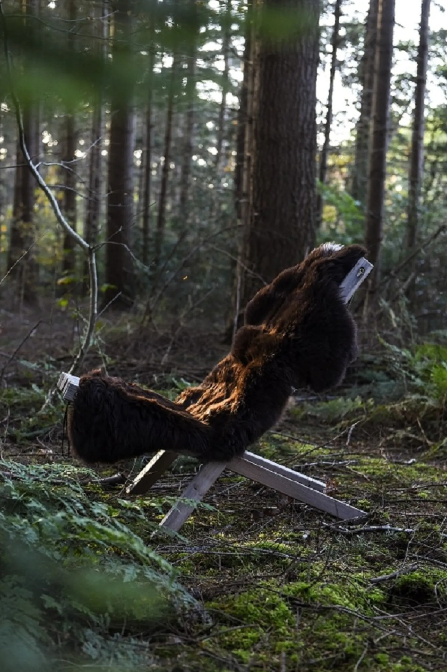 Weltevree Schaffell Braun