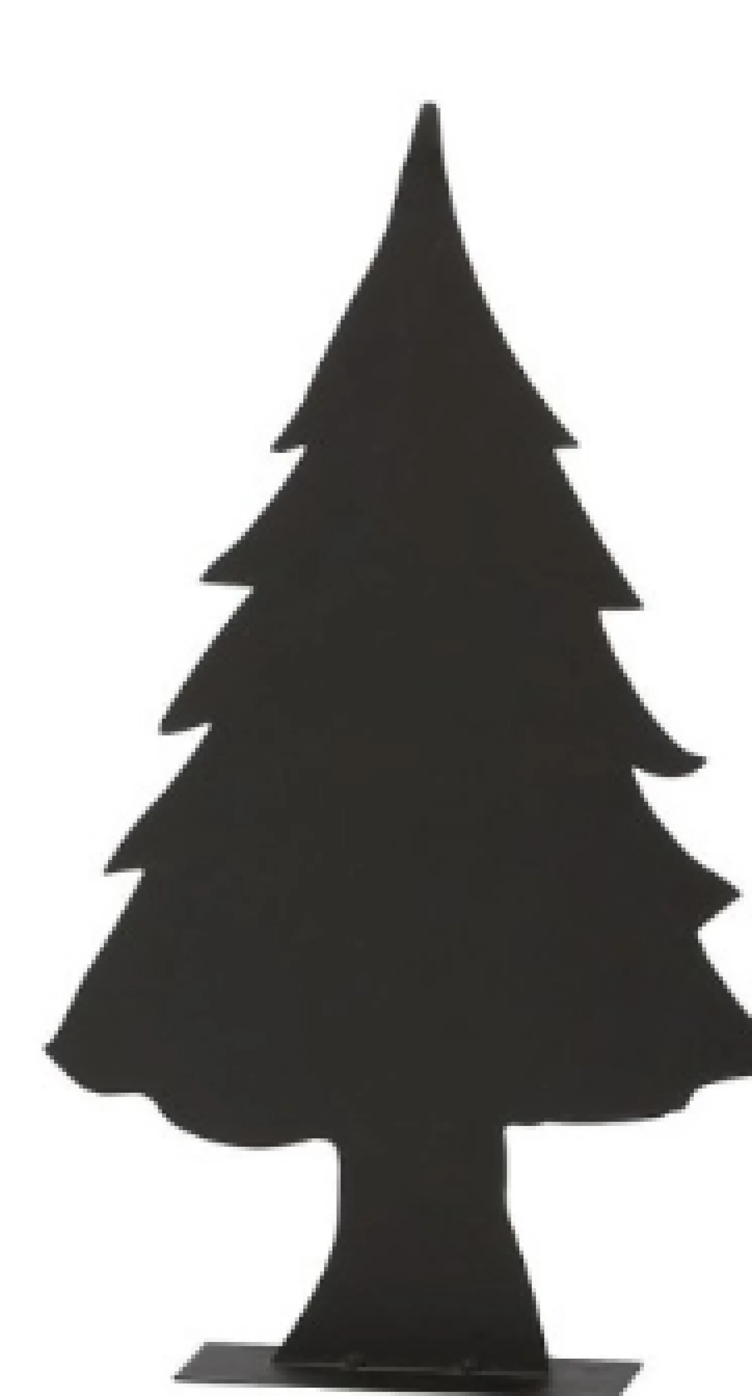 WMG Tanne Lipa Höhe 40 cm