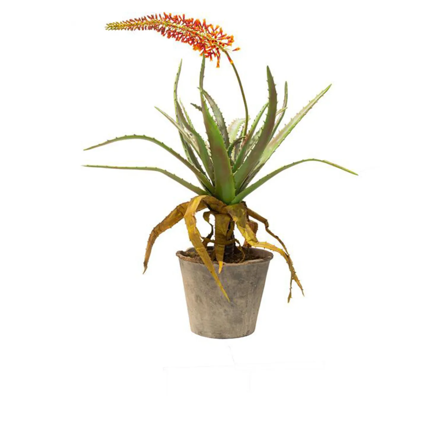 Fleur Ami Aloe Kunstpflanze, rote Blüten