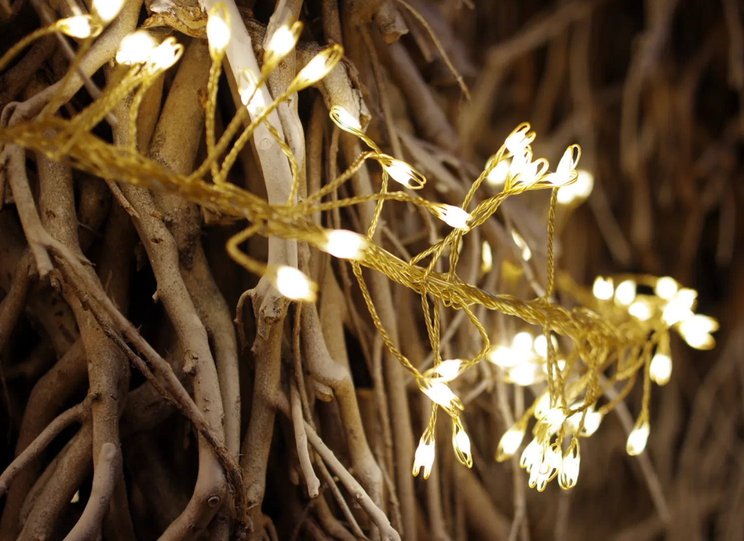 + Lichterkette LED Outdoor 6 meter gold